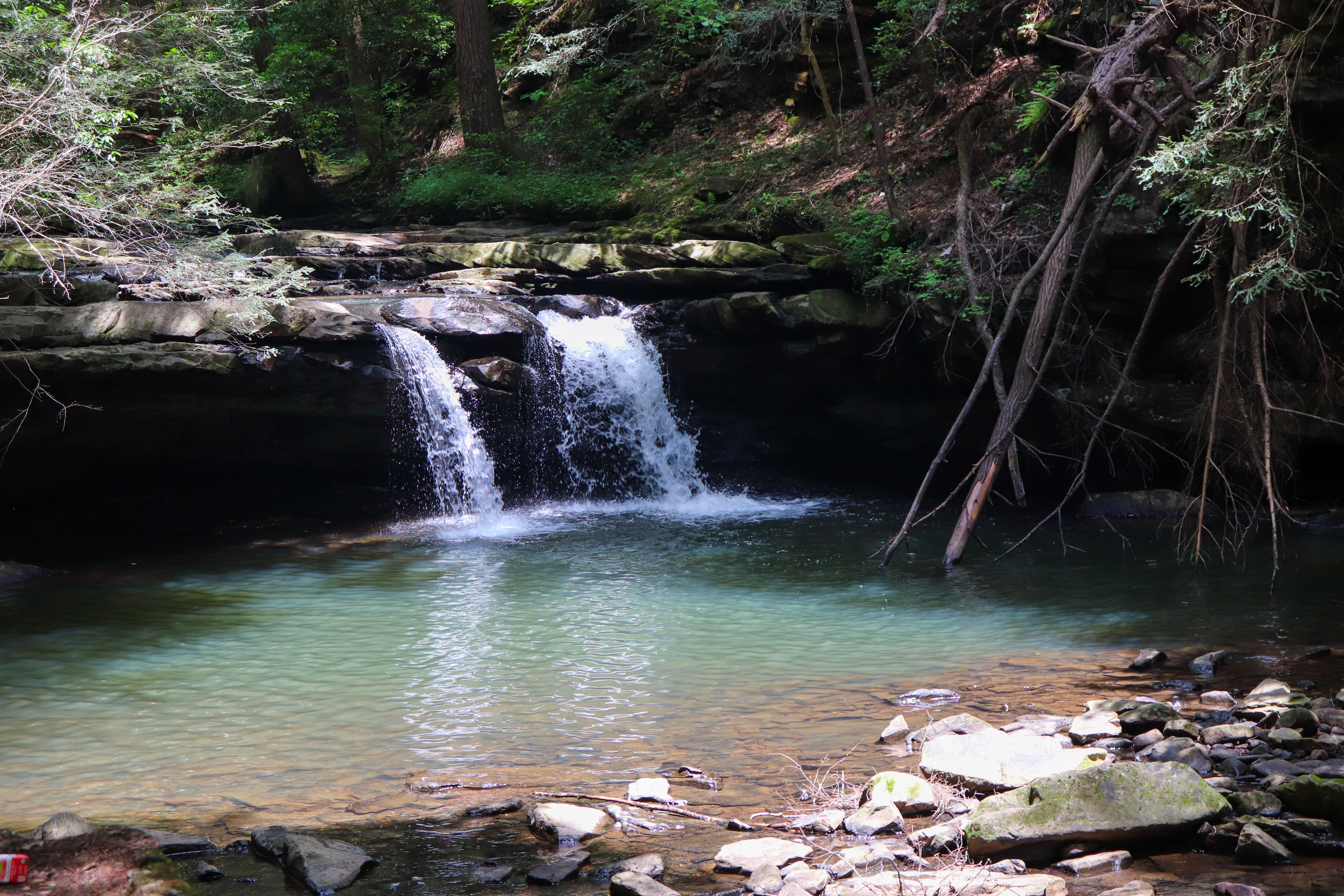 Sycamore Falls: The Best Tennessee Summer Hike