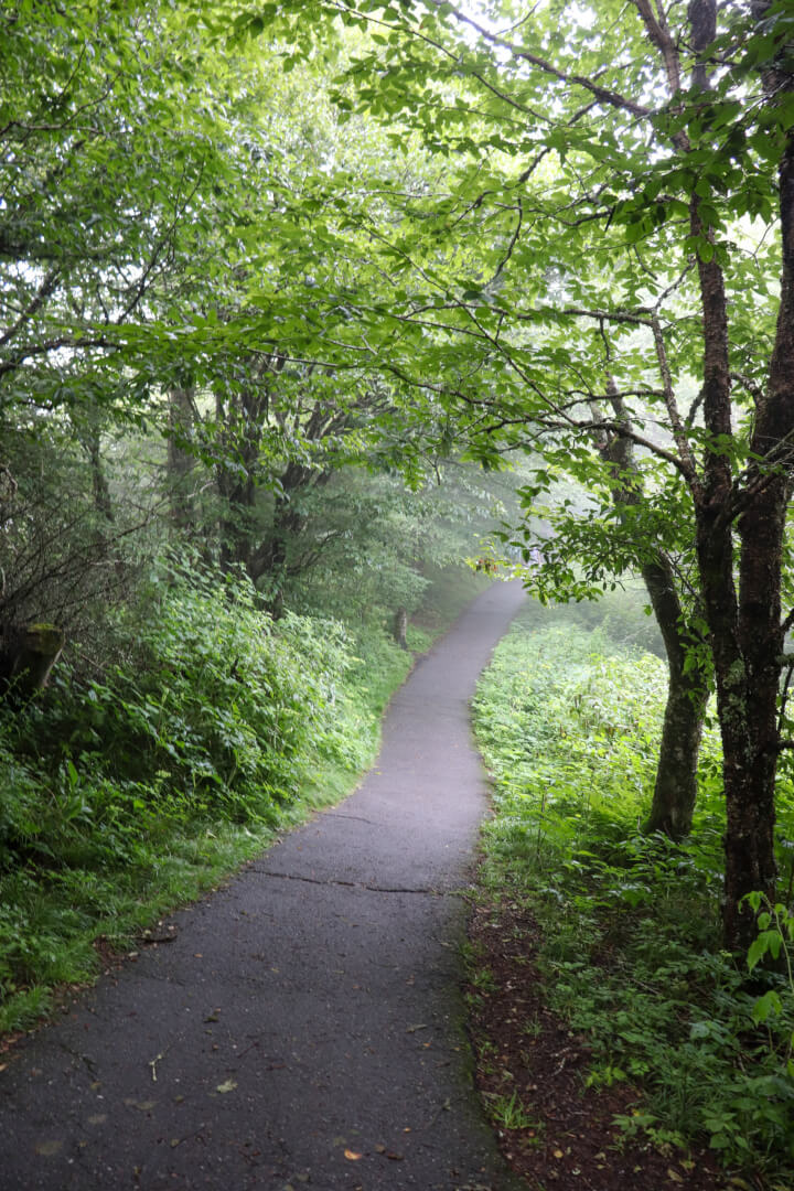 waterrock knob