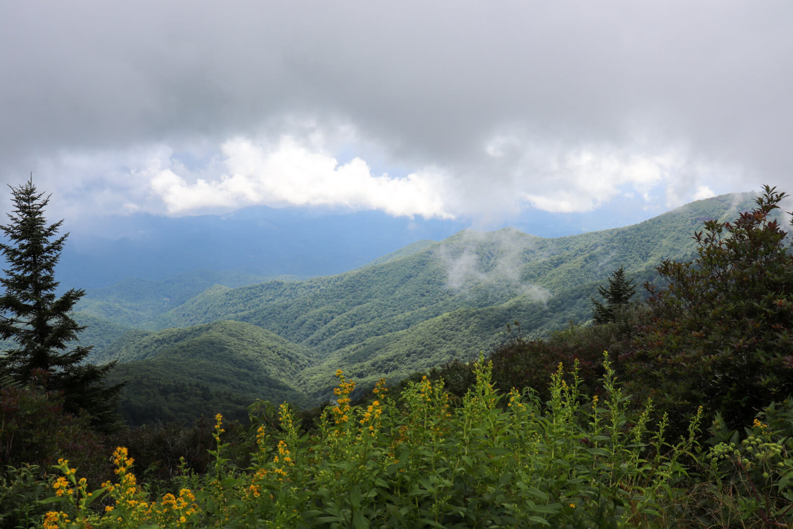 Why You Need to Stop at Waterrock Knob on the Blue Ridge Parkway