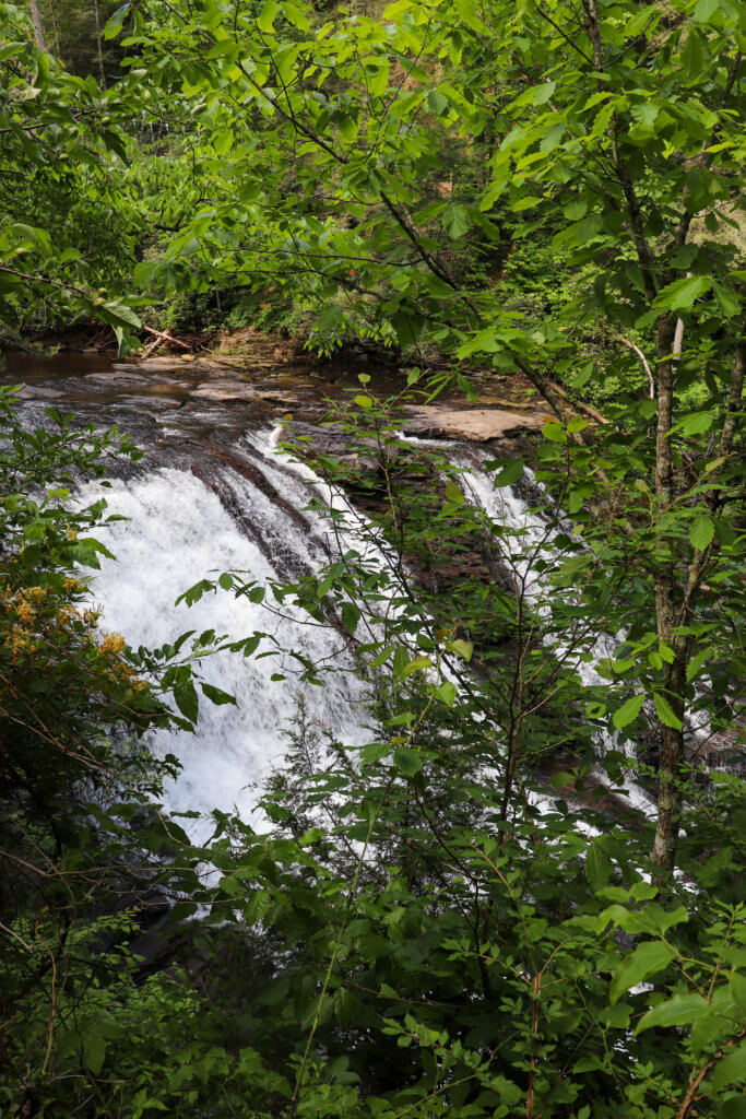 cane creek cascades