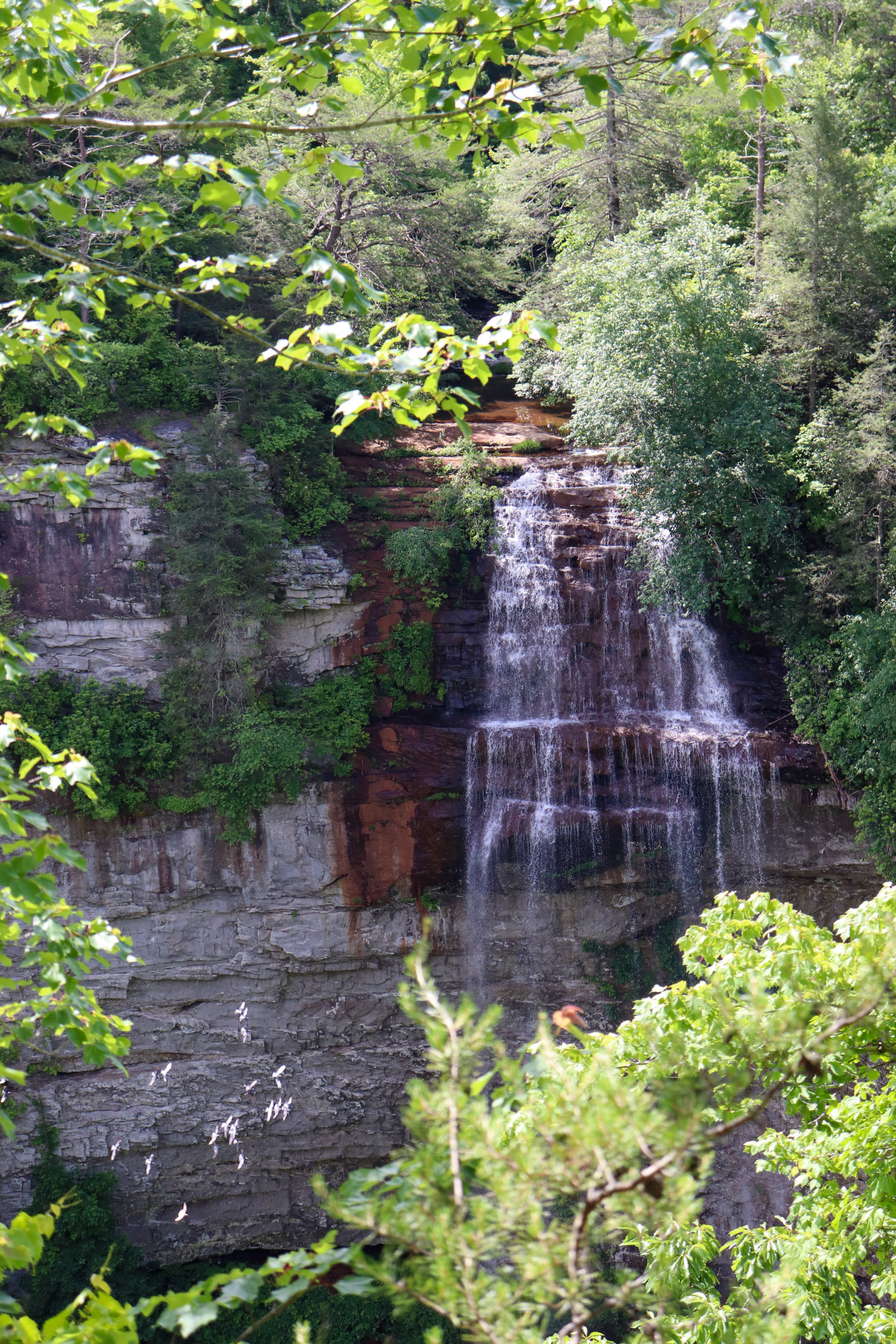 fall creek falls state park