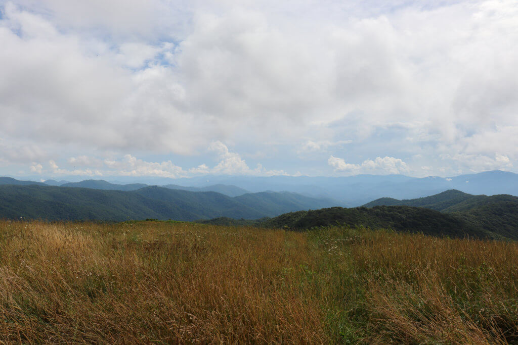 max patch