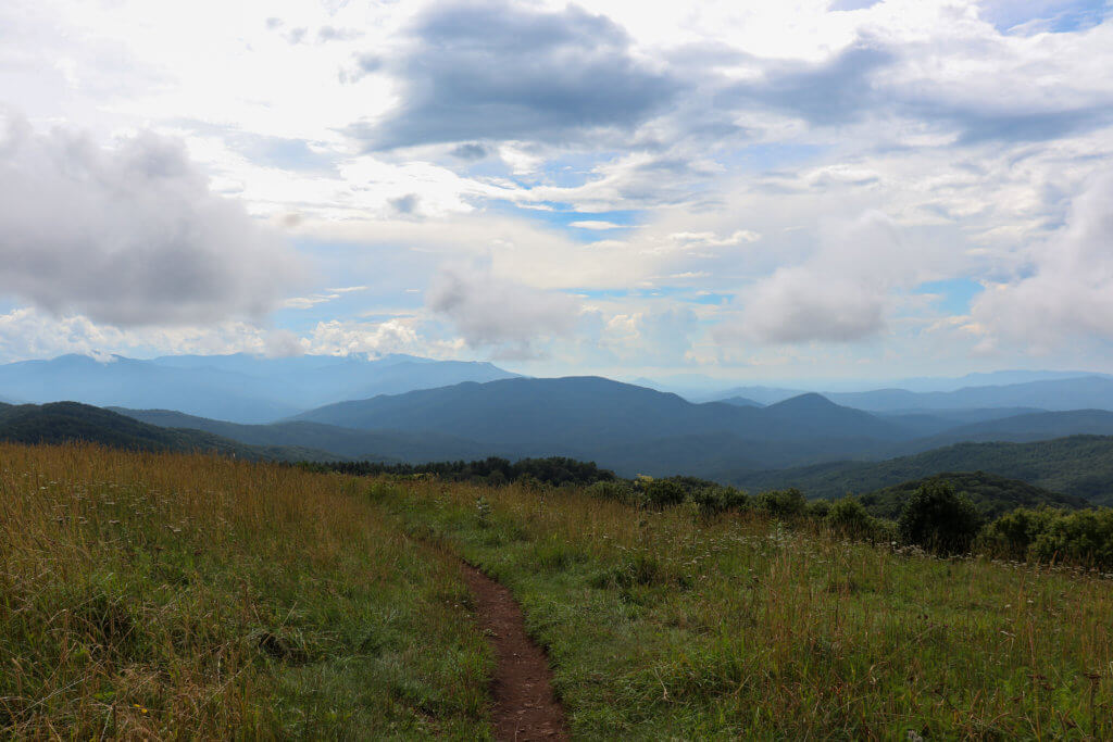 max patch