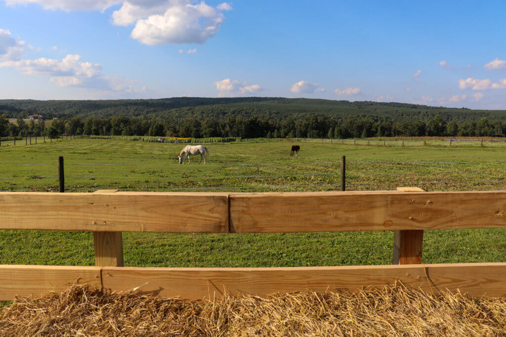 hay ride