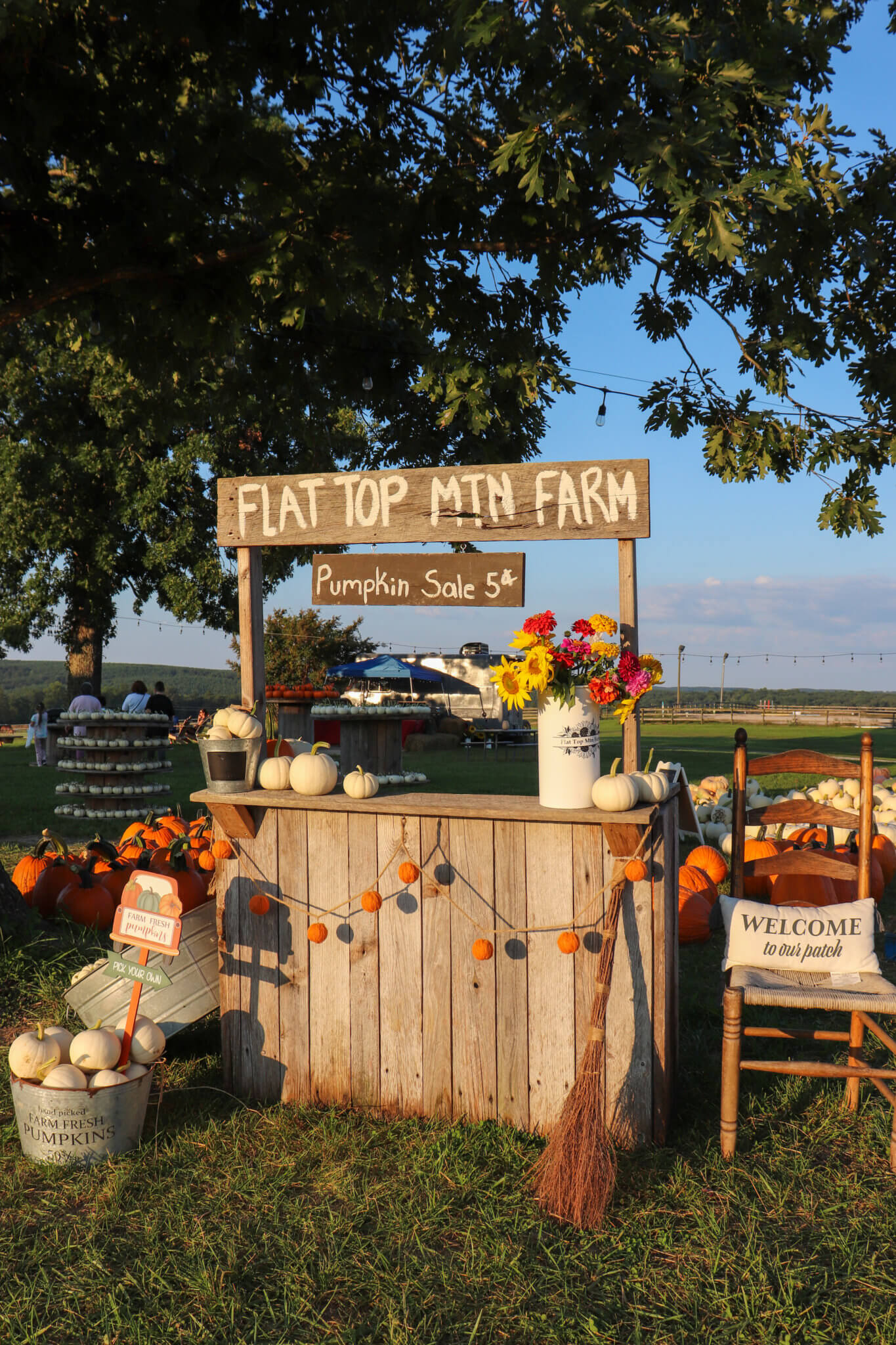 Get Lost in the Corn Maze at Flat Top Mountain Farm - Exploring Chatt