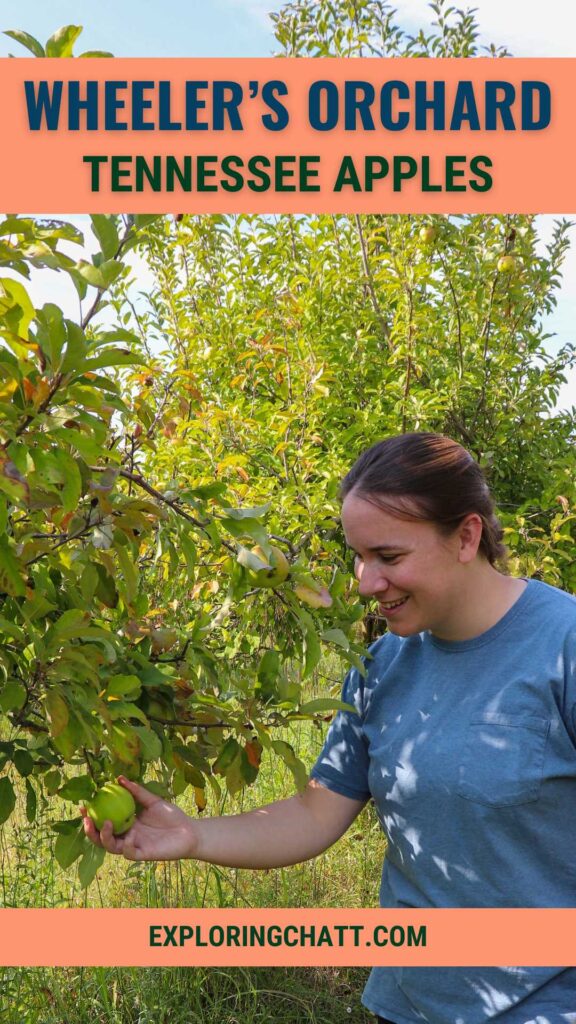 wheeler's orchard tennessee apples