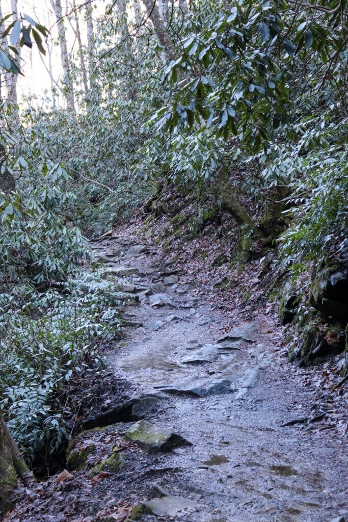 mingo falls trail
