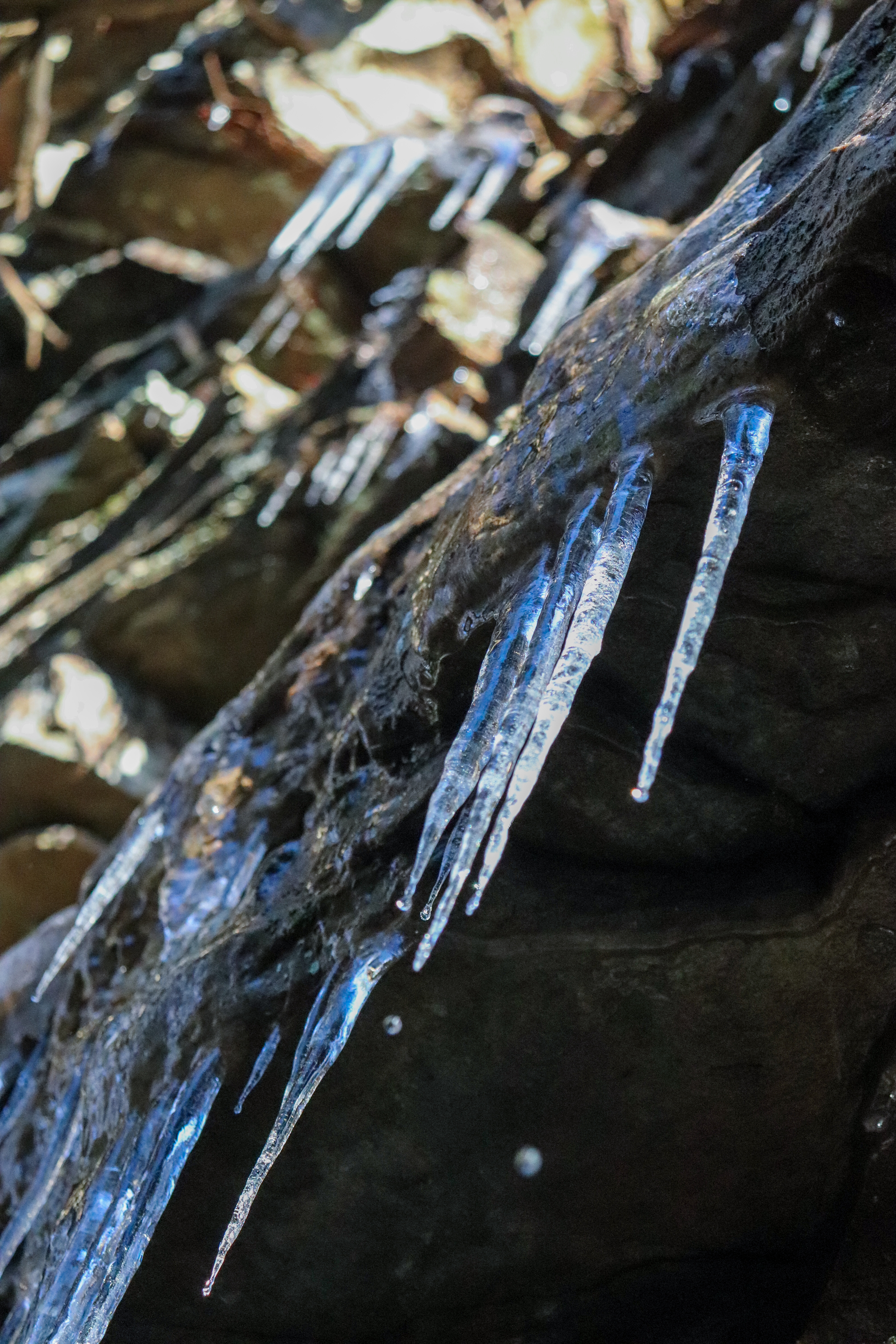 chattanooga icicles