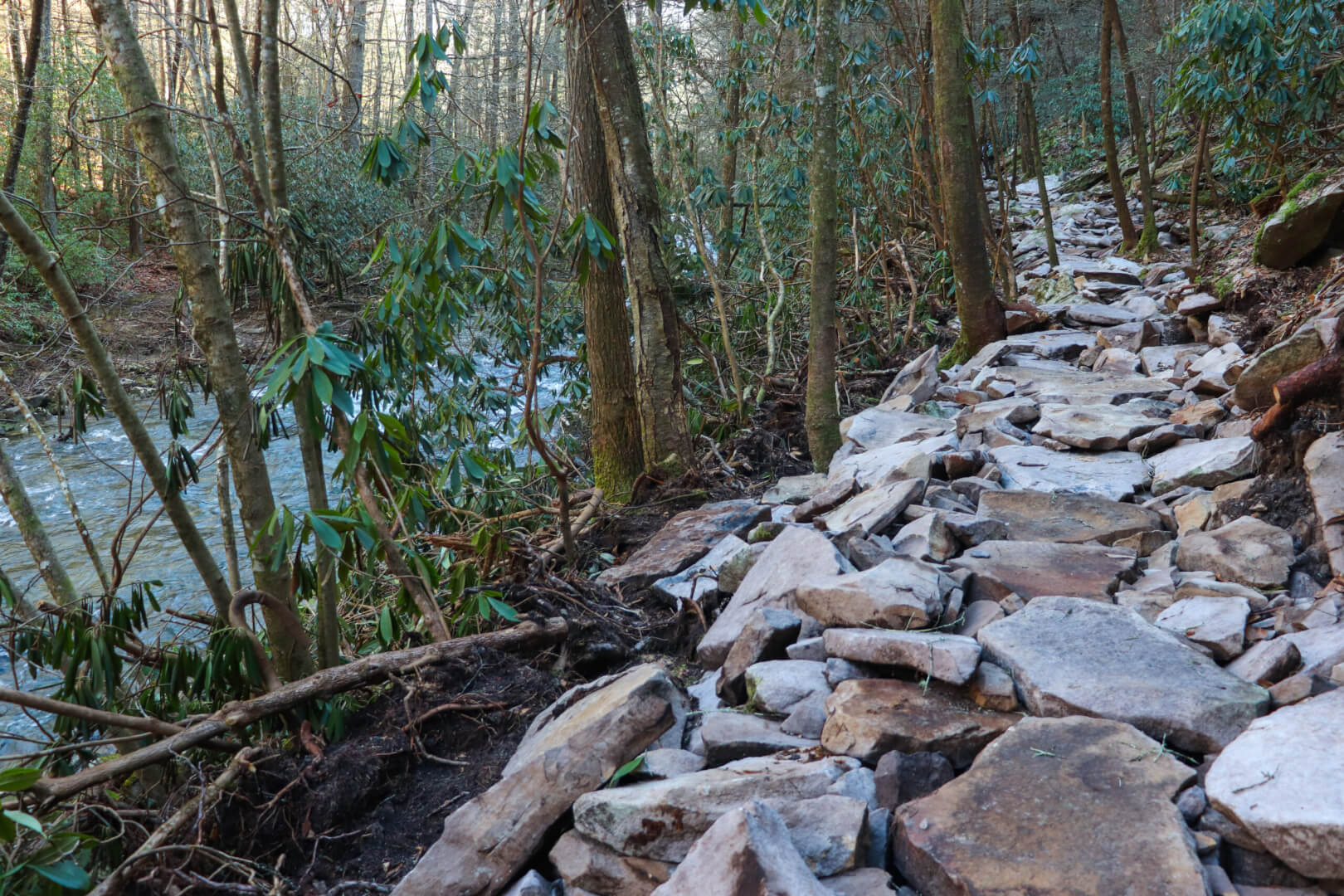 What To Expect When You Volunteer To Help Build The Cumberland Trail   IMG 8718 Scaled 