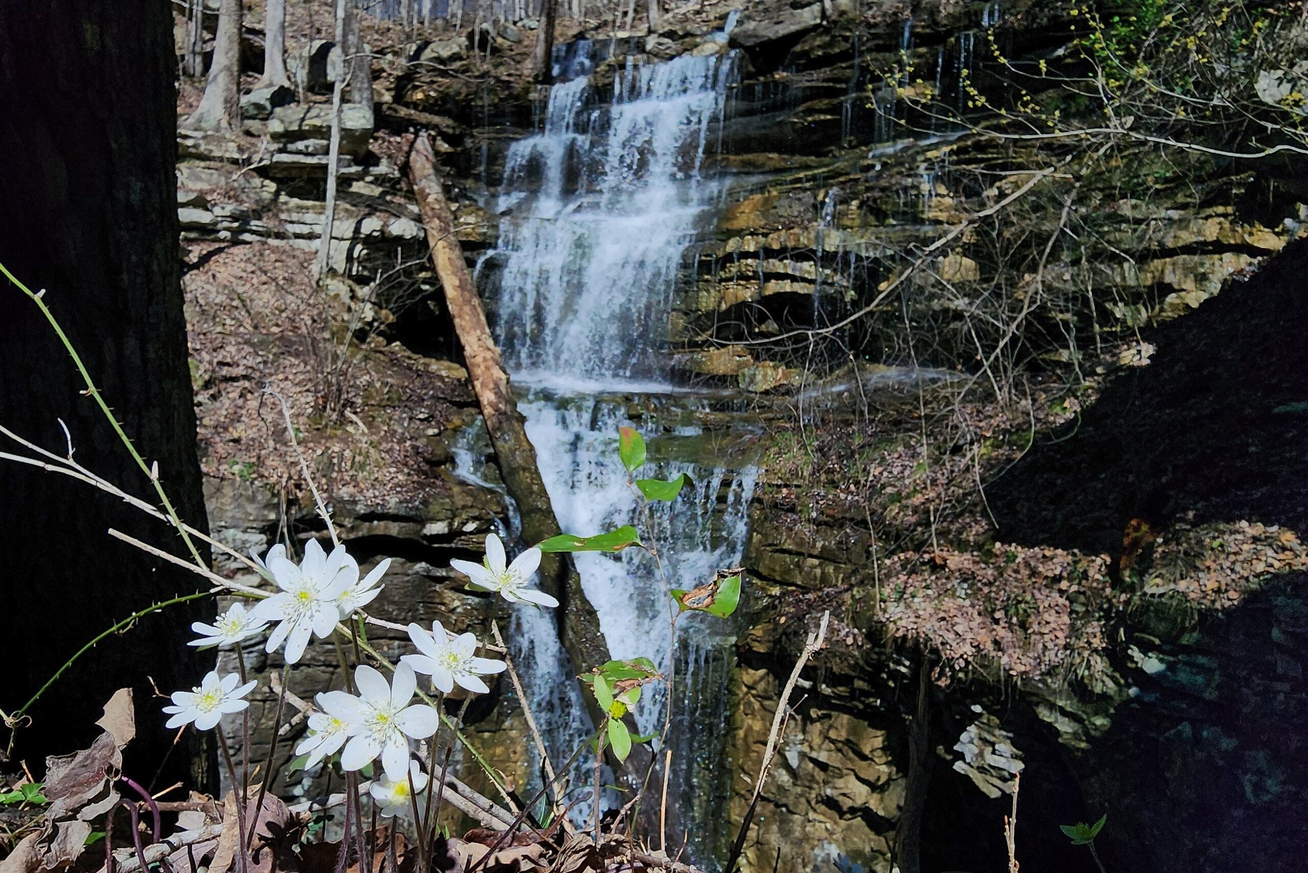 Tennessee Waterfall Hiking at Sewanee
