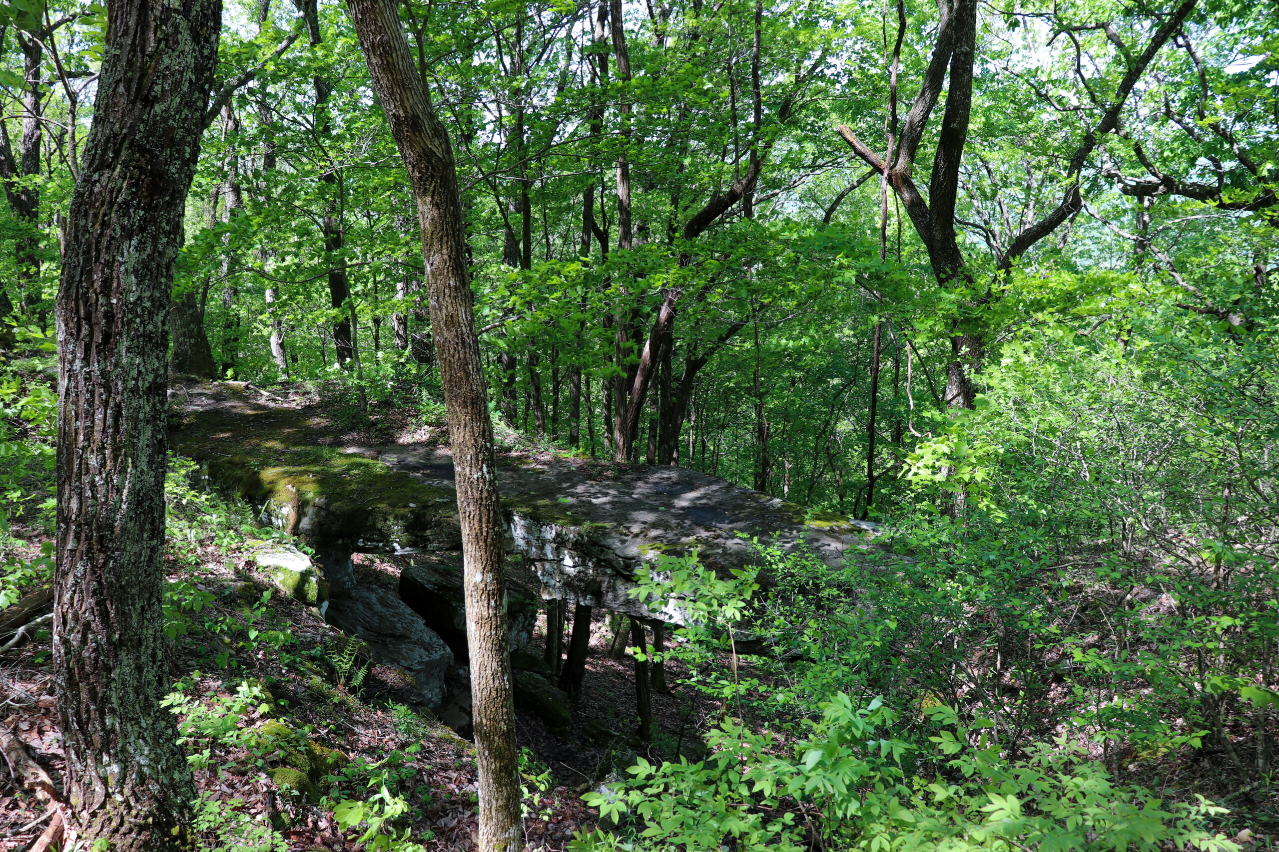 Hidden Tennessee Natural Bridge Hike in Sherwood, TN
