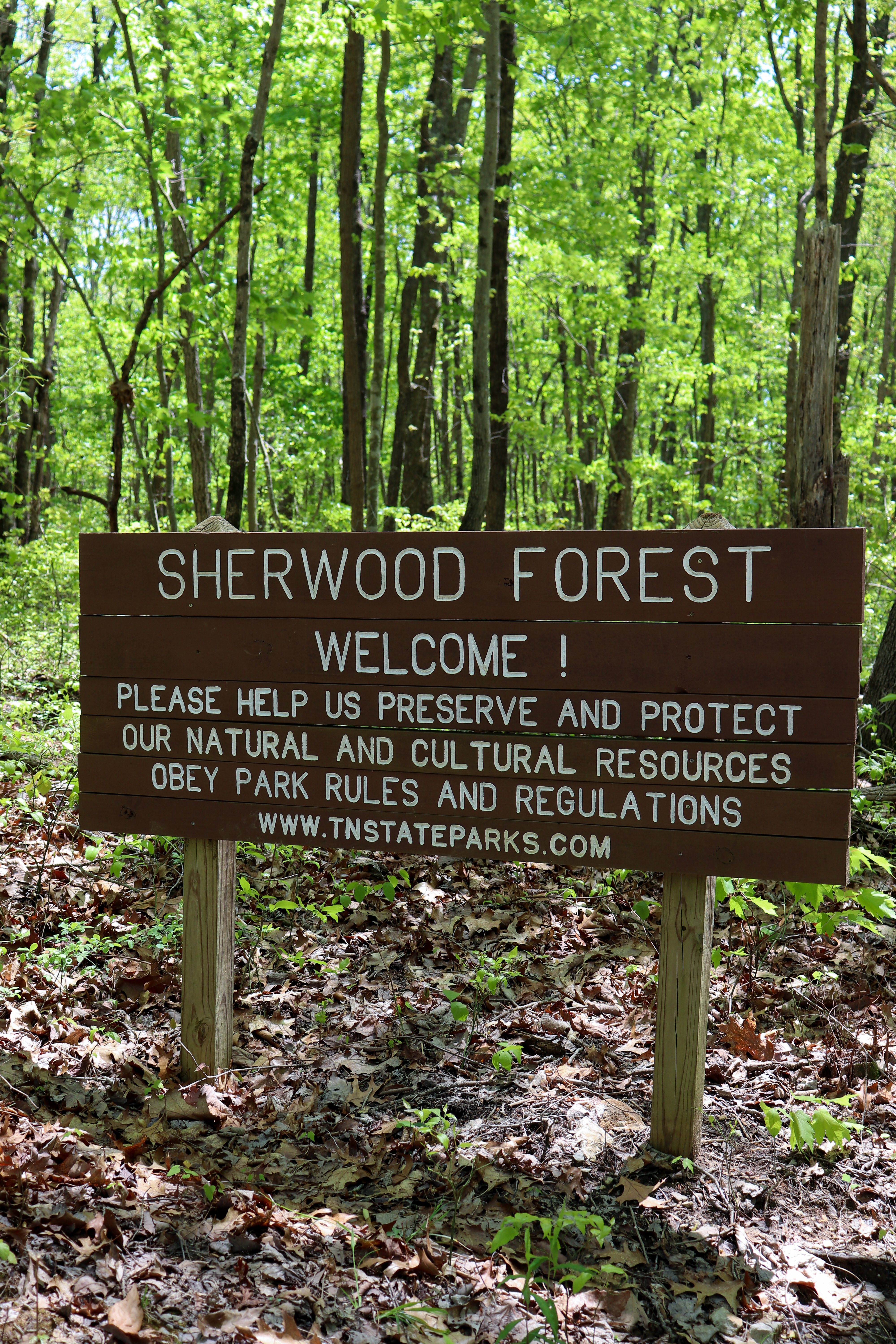 sherwood forest tn