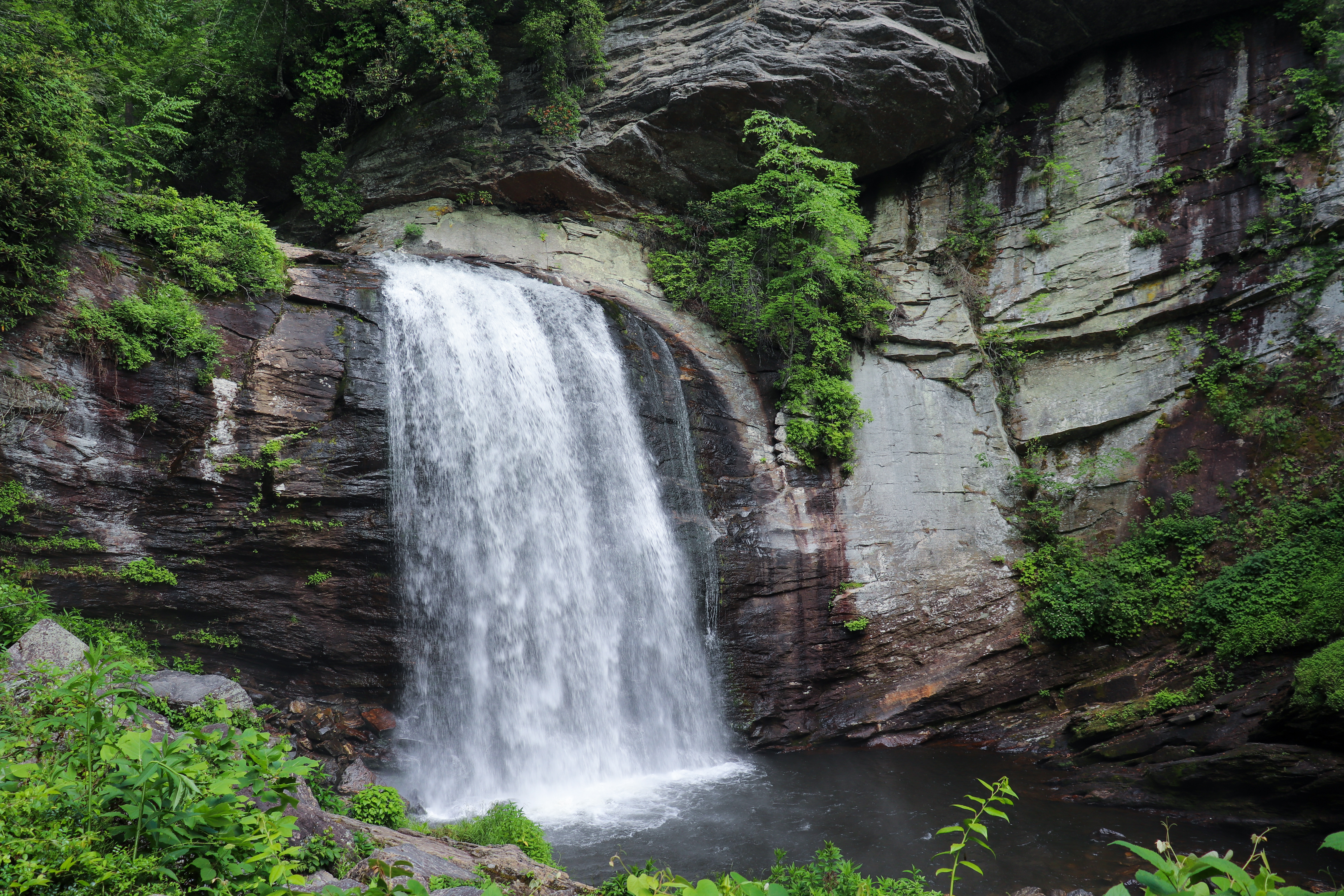 Explore These Amazing Pisgah Waterfalls While Camping on Mount Pisgah