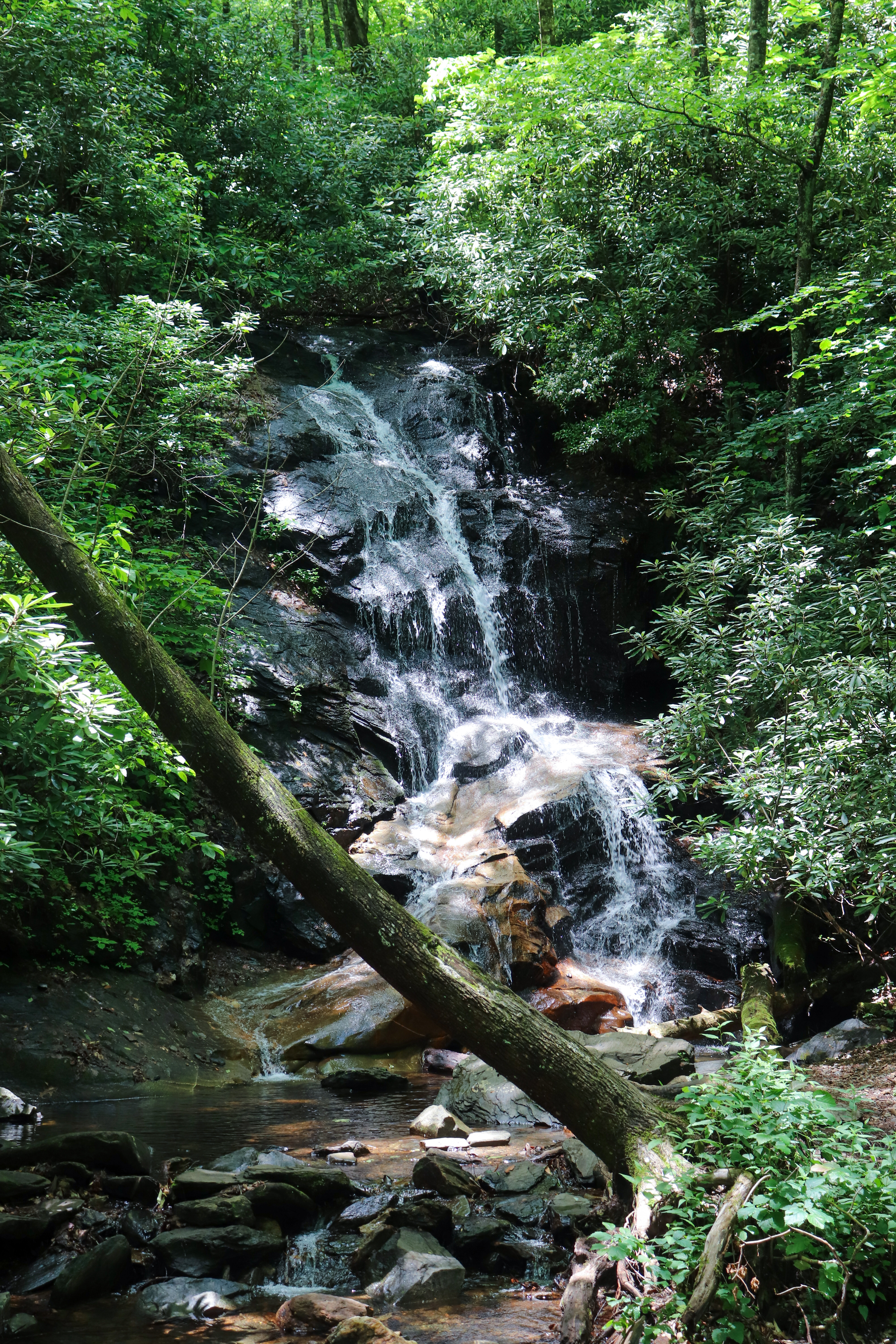 pisgah waterfalls