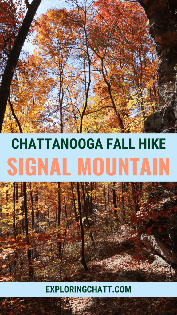 Chattanooga Fall Hike Signal Mountain