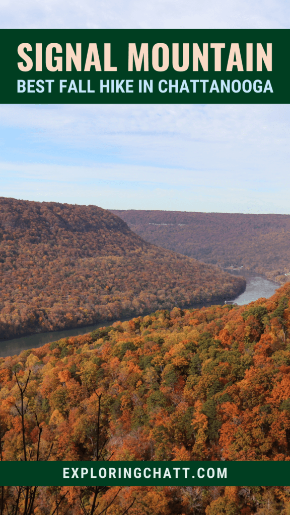 Signal Mountain Best Fall Hike in Chattanooga