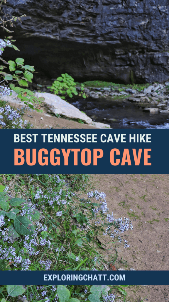 best tennessee cave hike