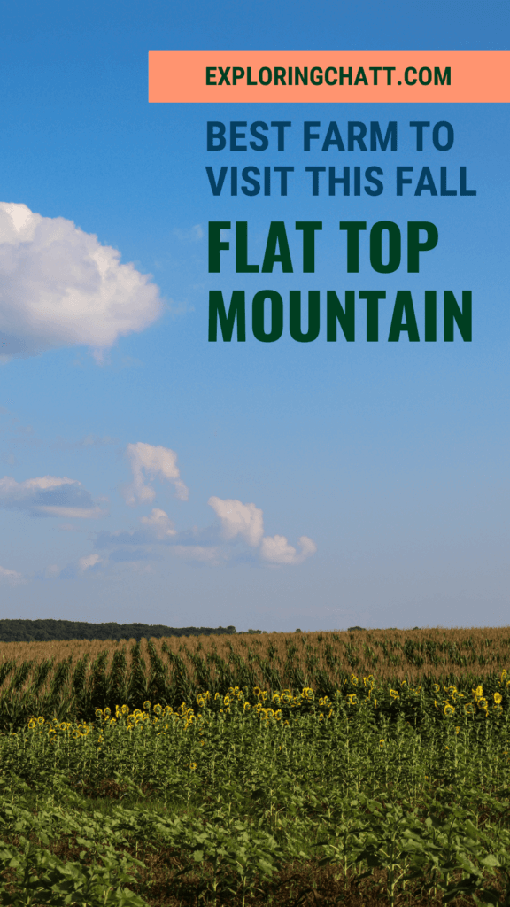 Flat Top Mountain