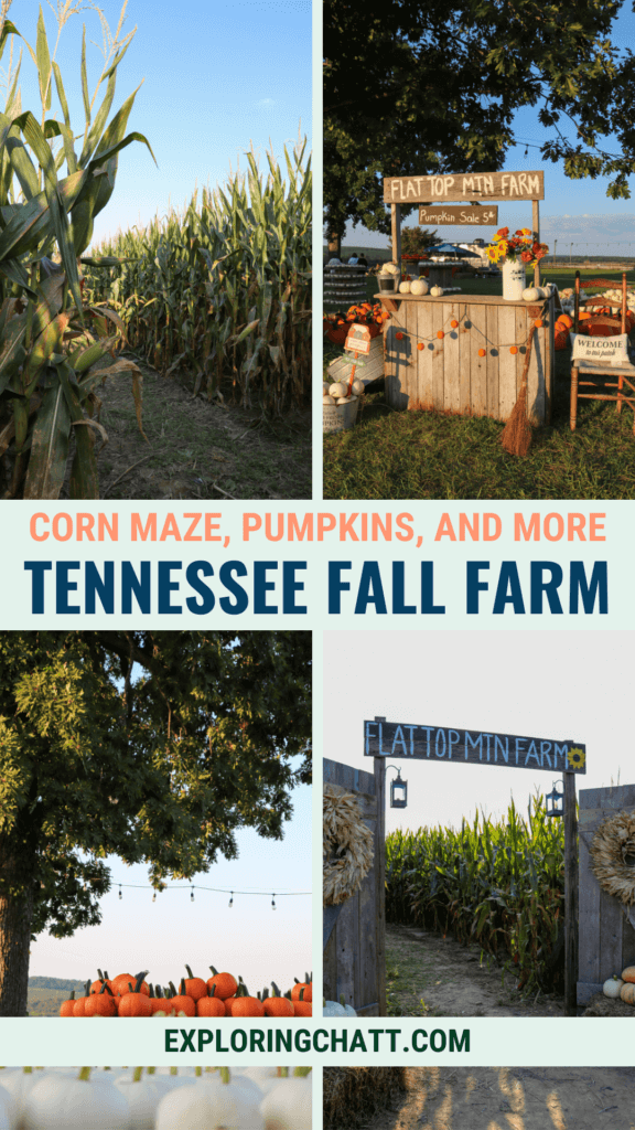 tennessee fall farm