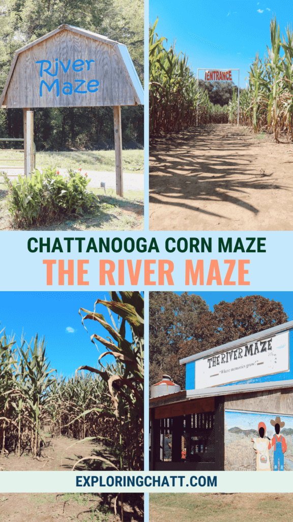 chattanooga corn maze