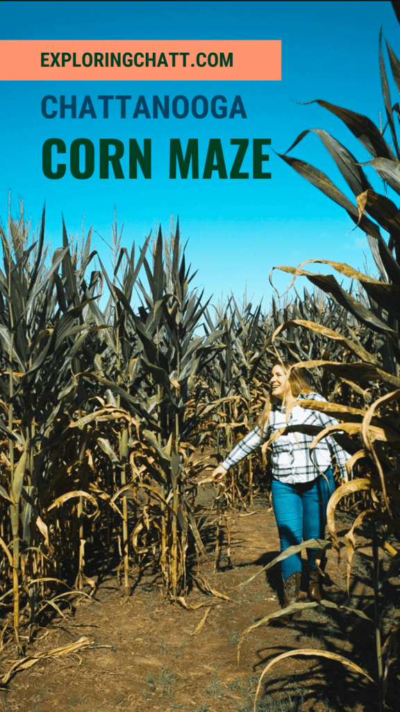 Chattanooga corn maze