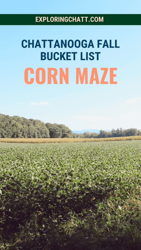 Chattanooga corn maze