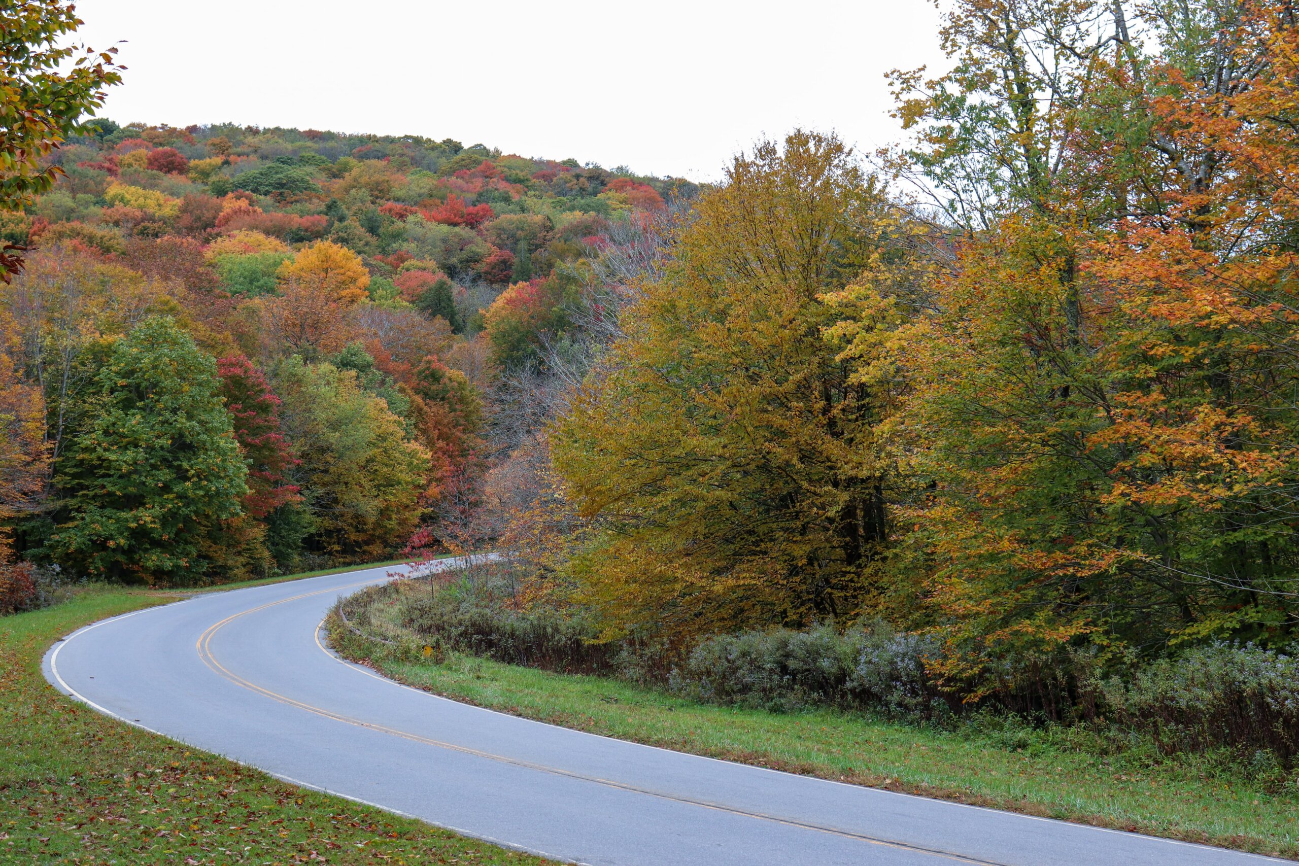 Why You Need to Enjoy the Cherohala Skyway for a Fall Drive