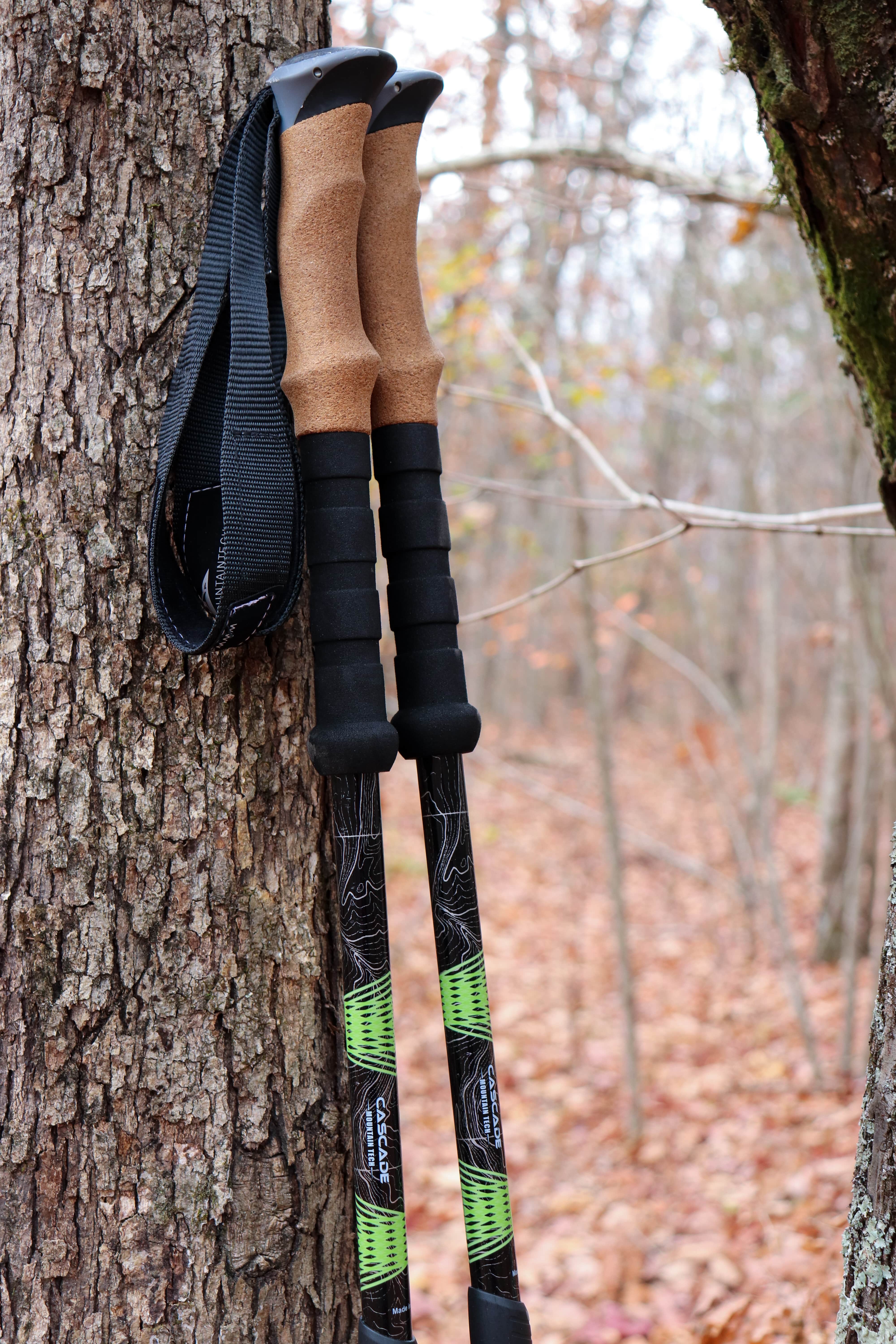 trekking poles