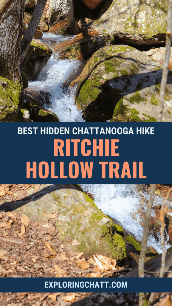 Best Hidden Chattanooga Hike Ritchie Hollow Trail