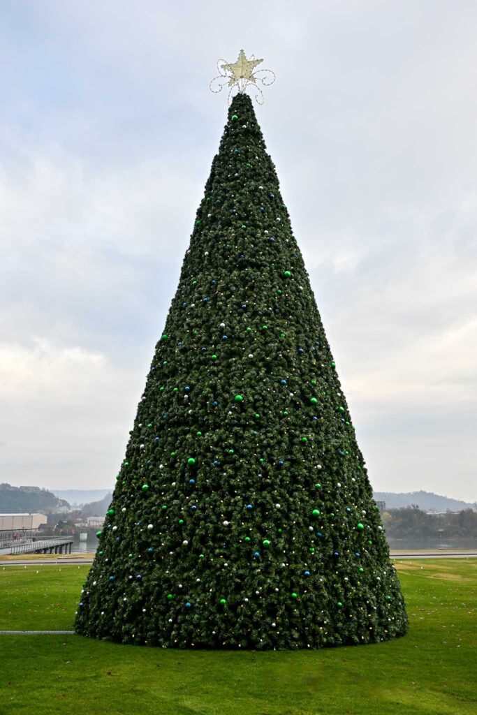 Chattanooga Christmas tree