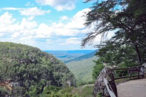 Read more about the article Explore Lookout Mountain Waterfalls at Cloudland Canyon State Park
