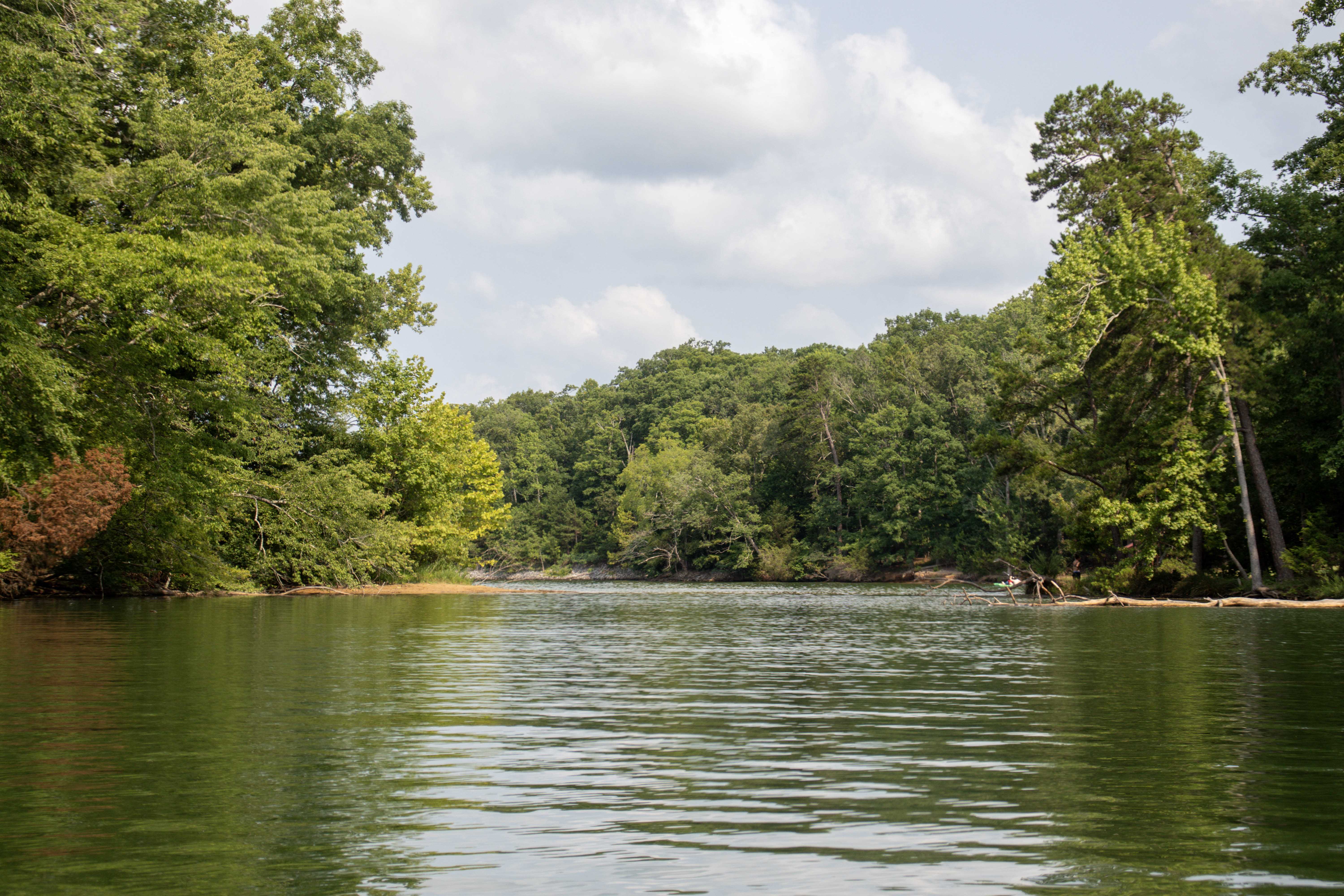 Paddling in Chattanooga 