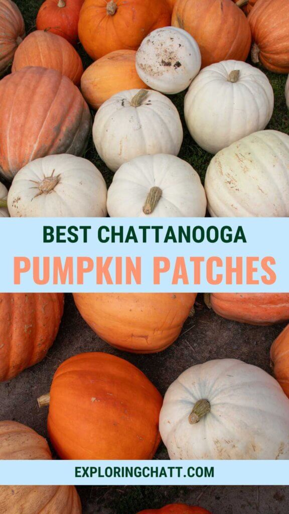 Best Chattanooga Pumpkin Patches