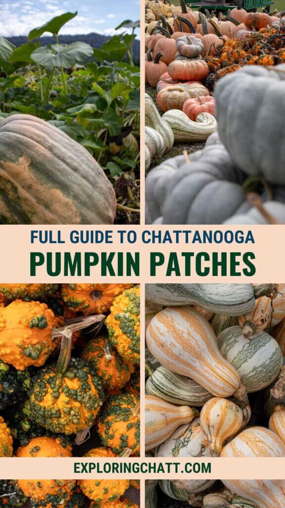 Full Guide to Chattanooga Pumpkin Patches