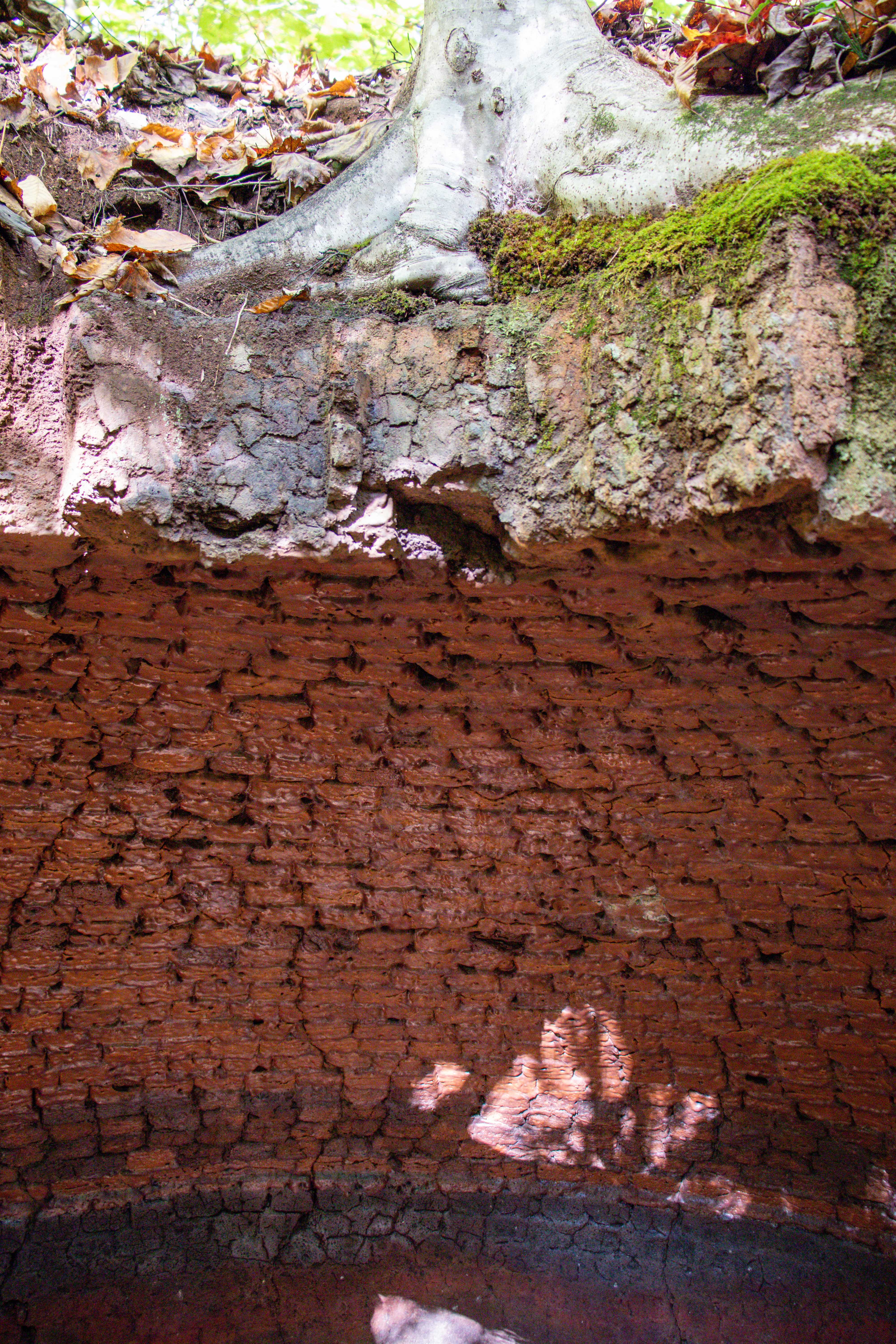 dunlap coke ovens