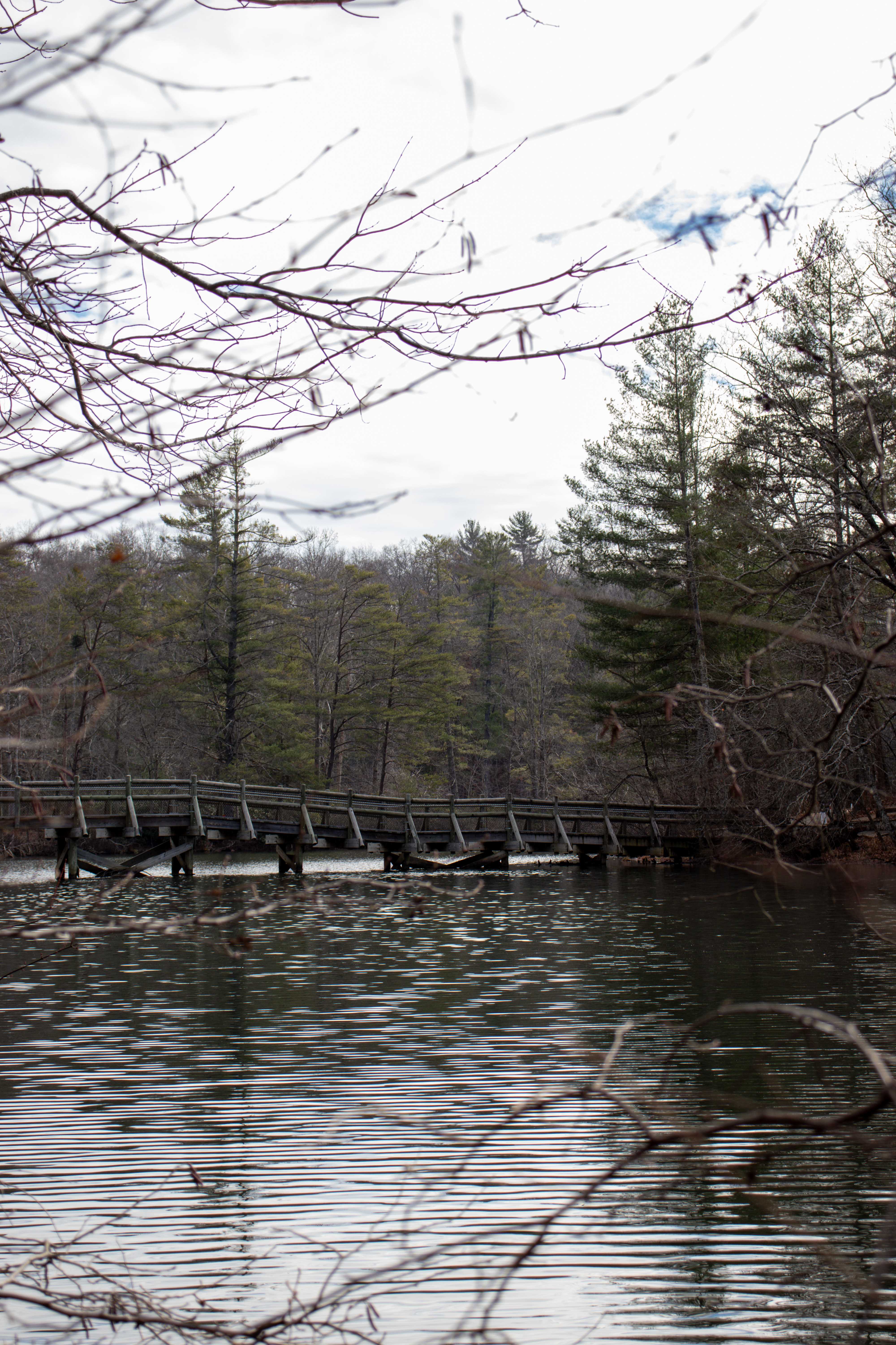 Cumberland Mountain State Park Hiking