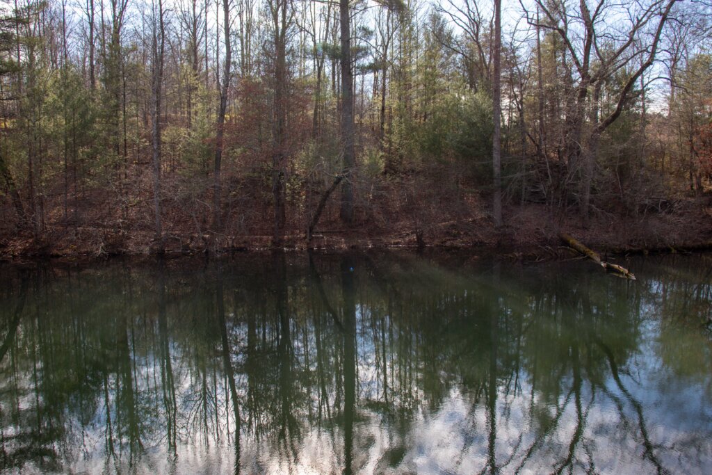 Cumberland Mountain State Park Cabin Stay