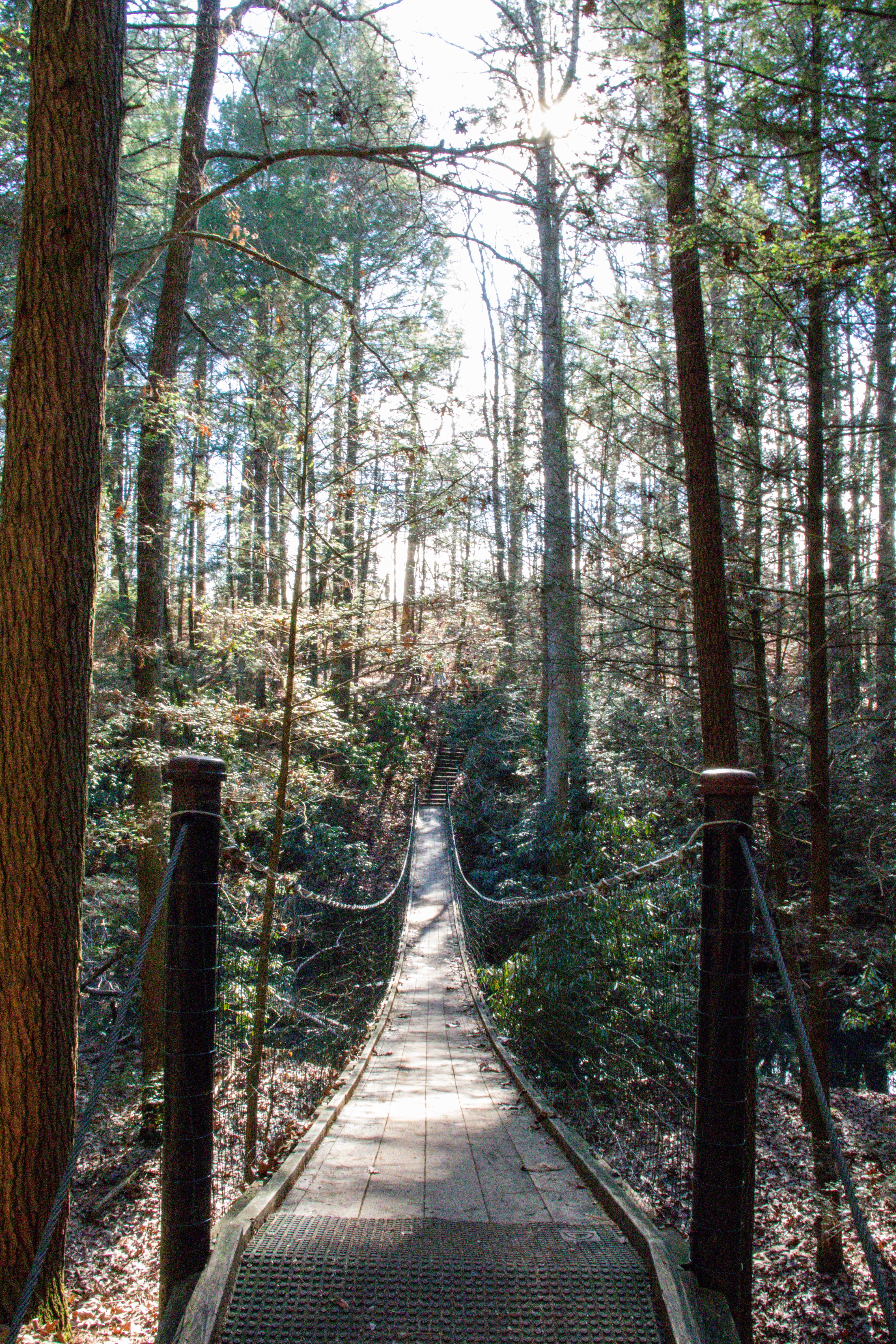 Cumberland Mountain State Park Hiking