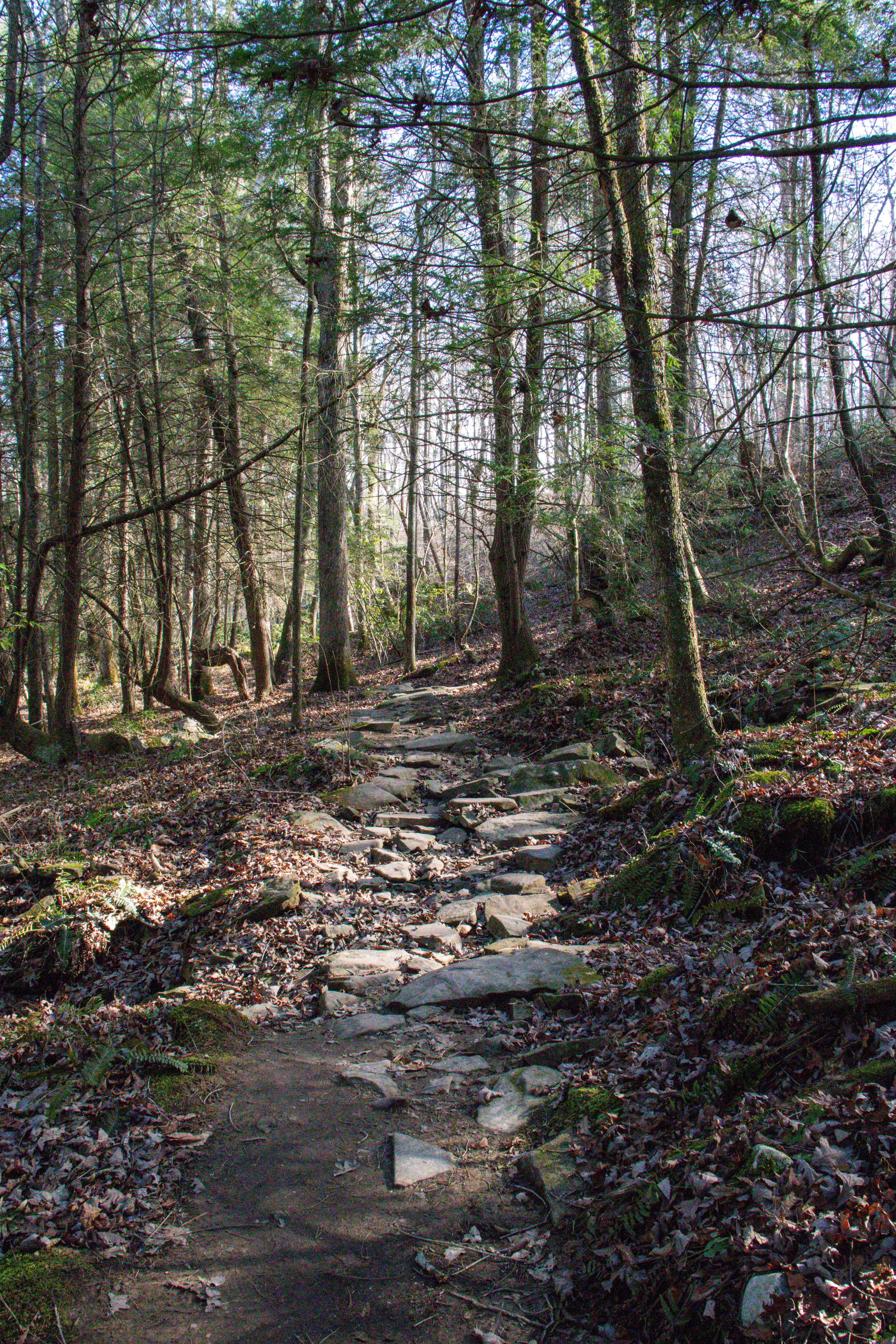 Cumberland Mountain State Park Hiking