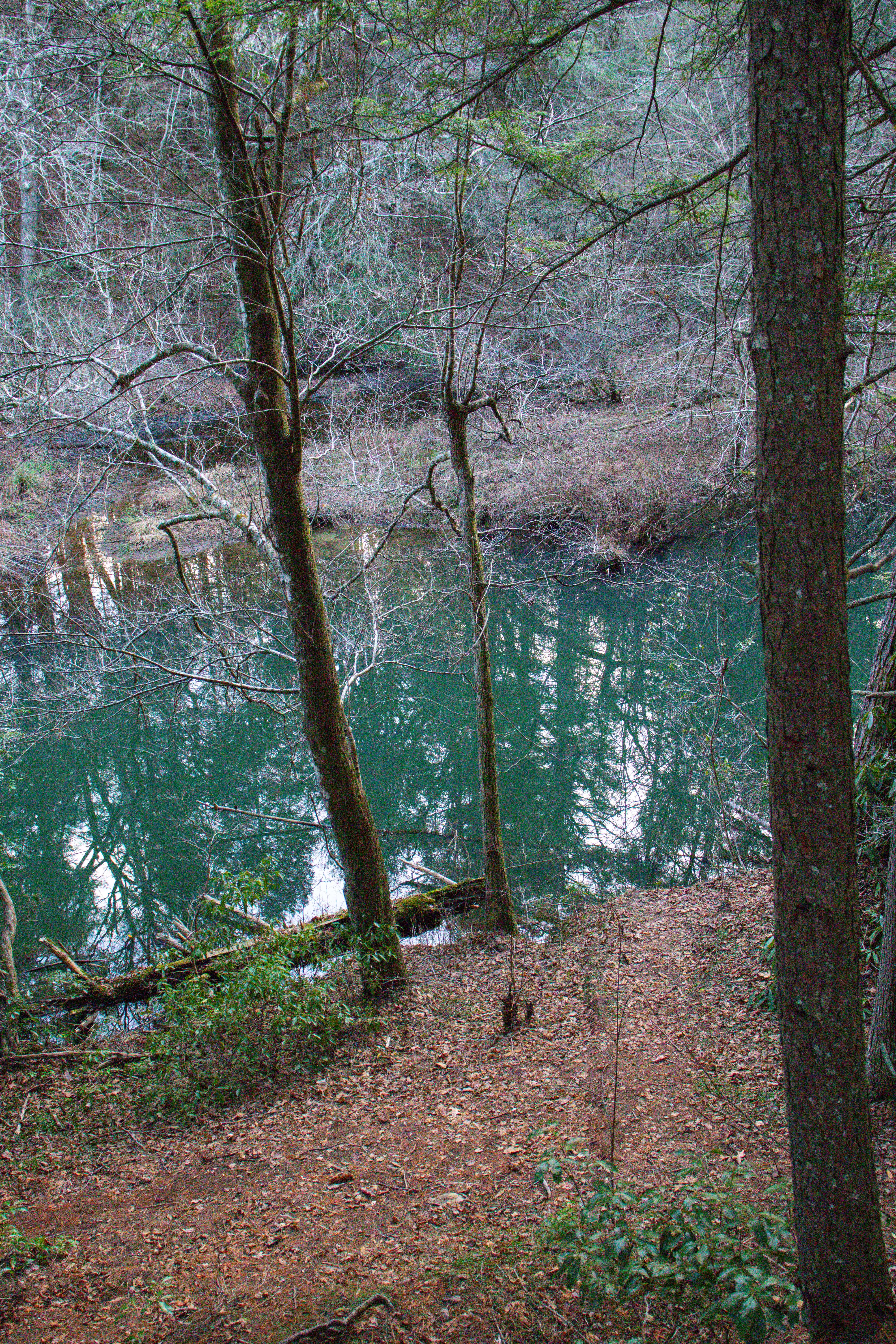 cumberland mountain state park