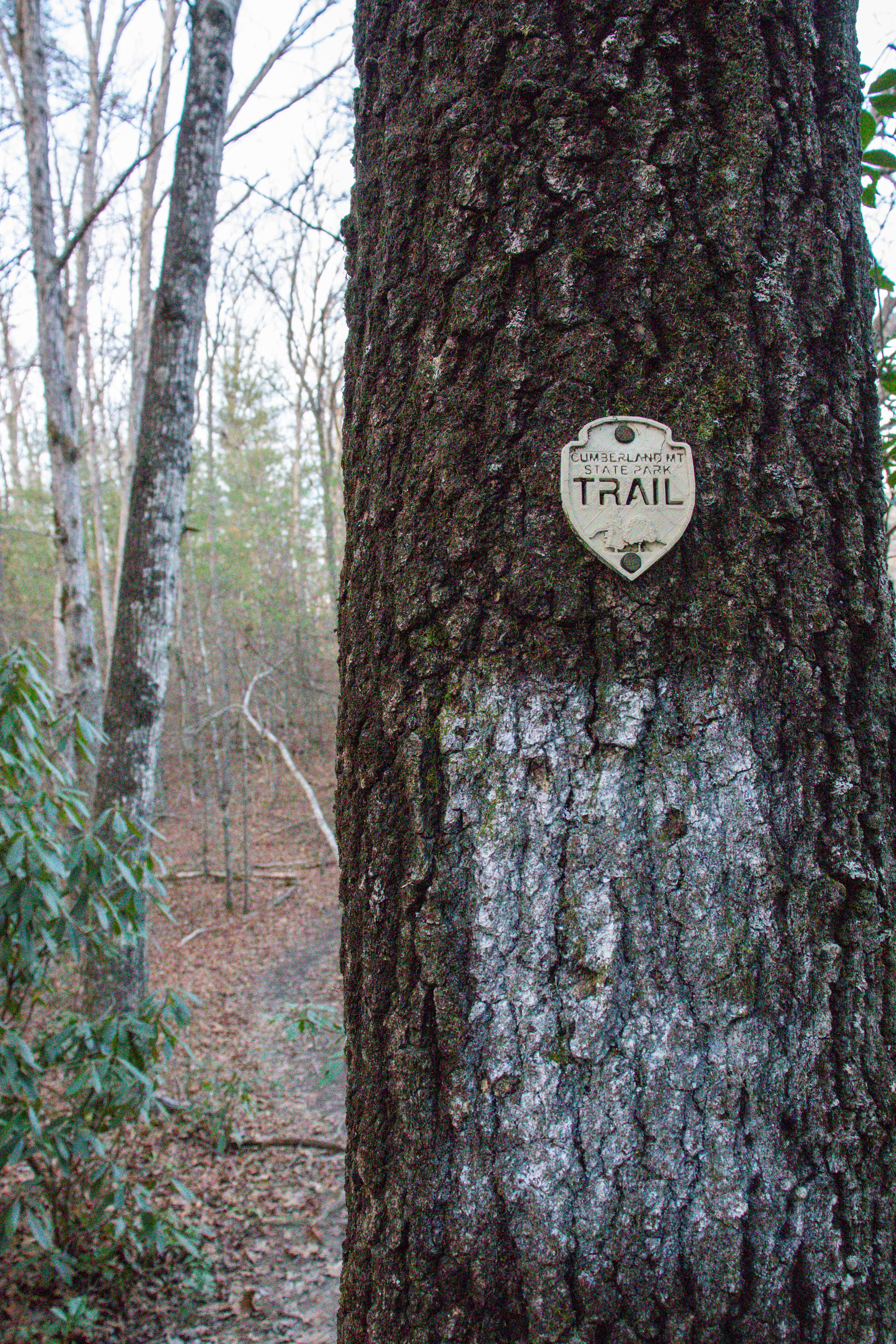 Cumberland Mountain State Park Hiking