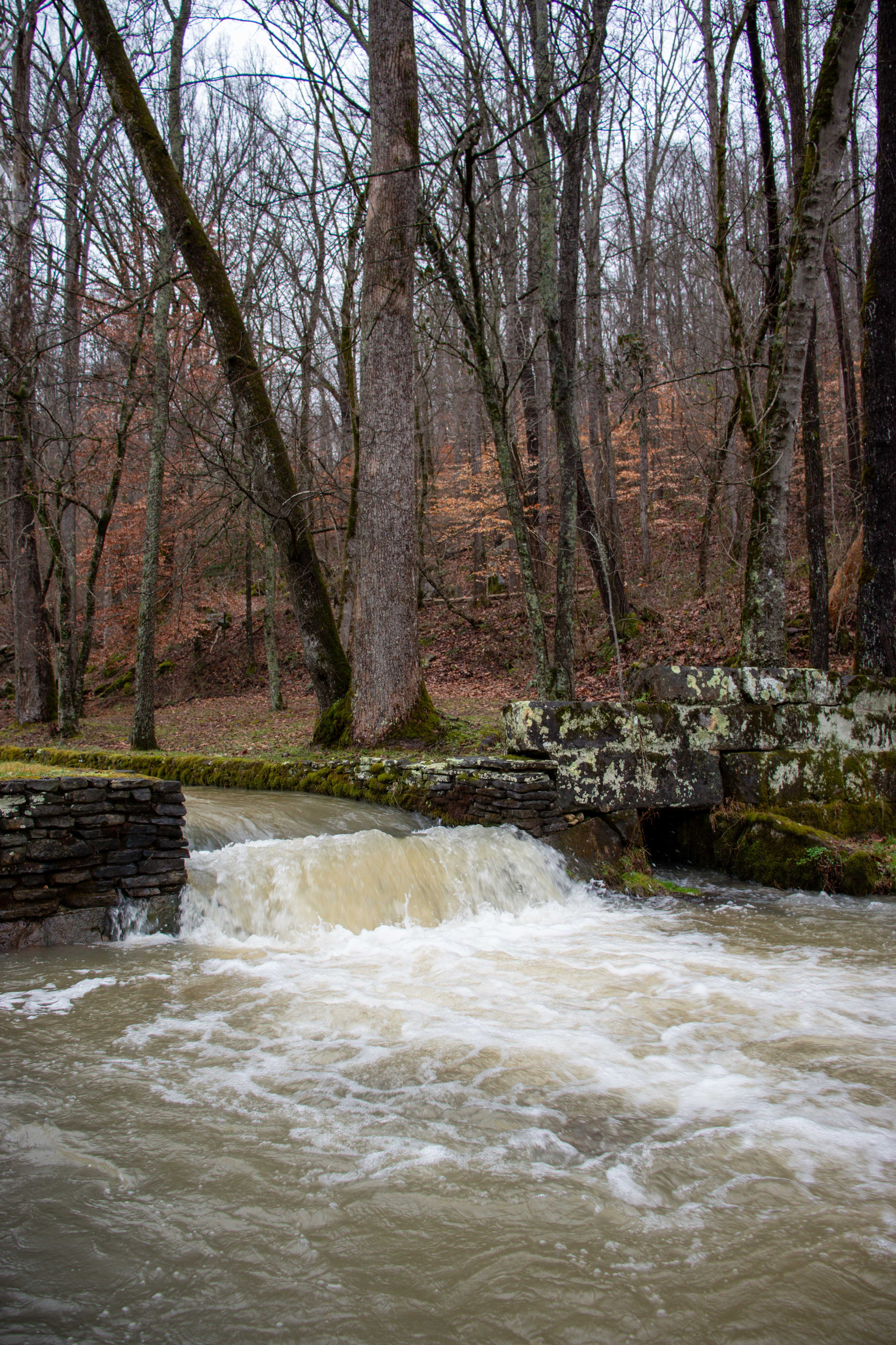 small, man-made waterfall aftere the Head of Sequatchie flows downstream from the cave opening