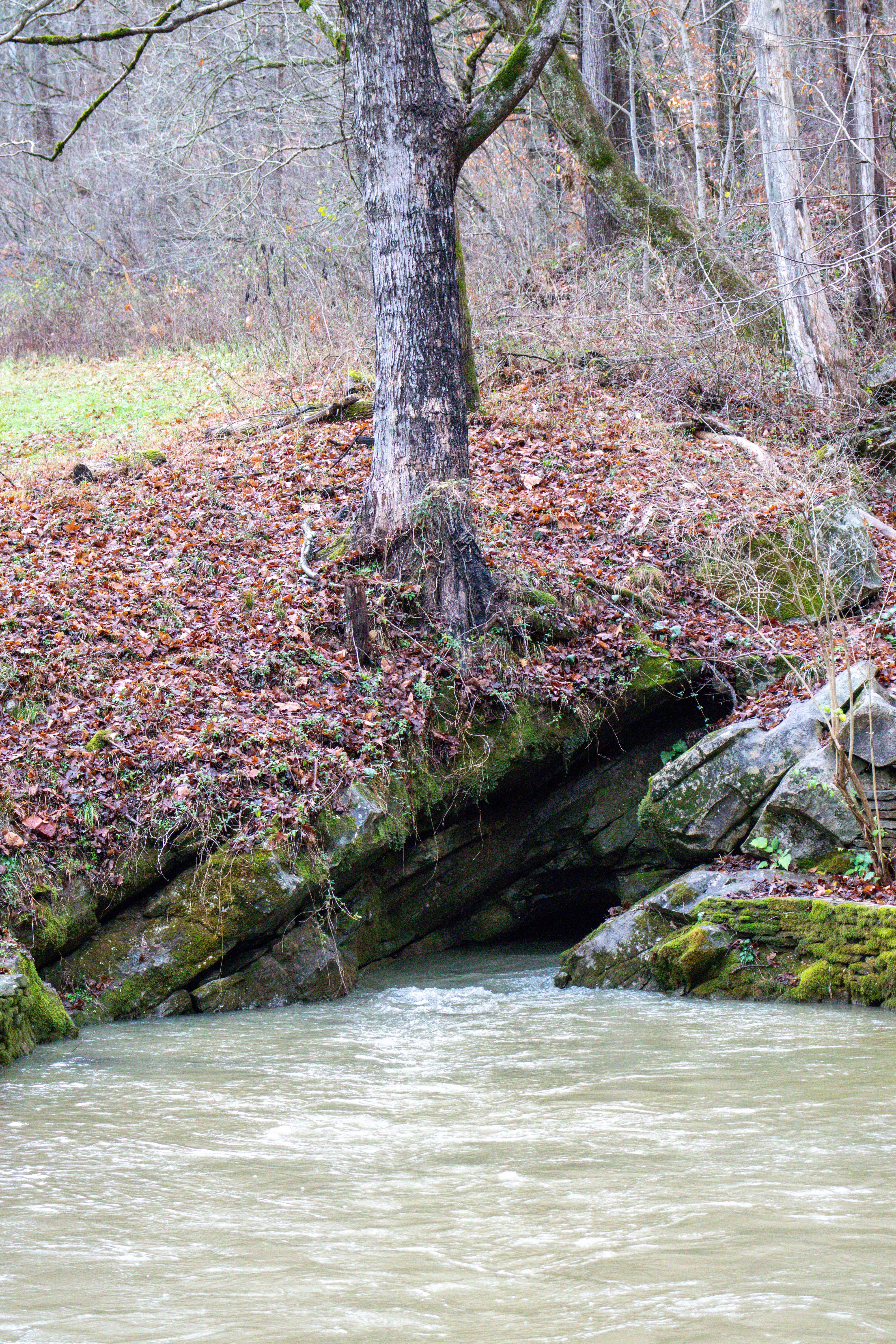 Head of Sequatchie flowing from the cave opening