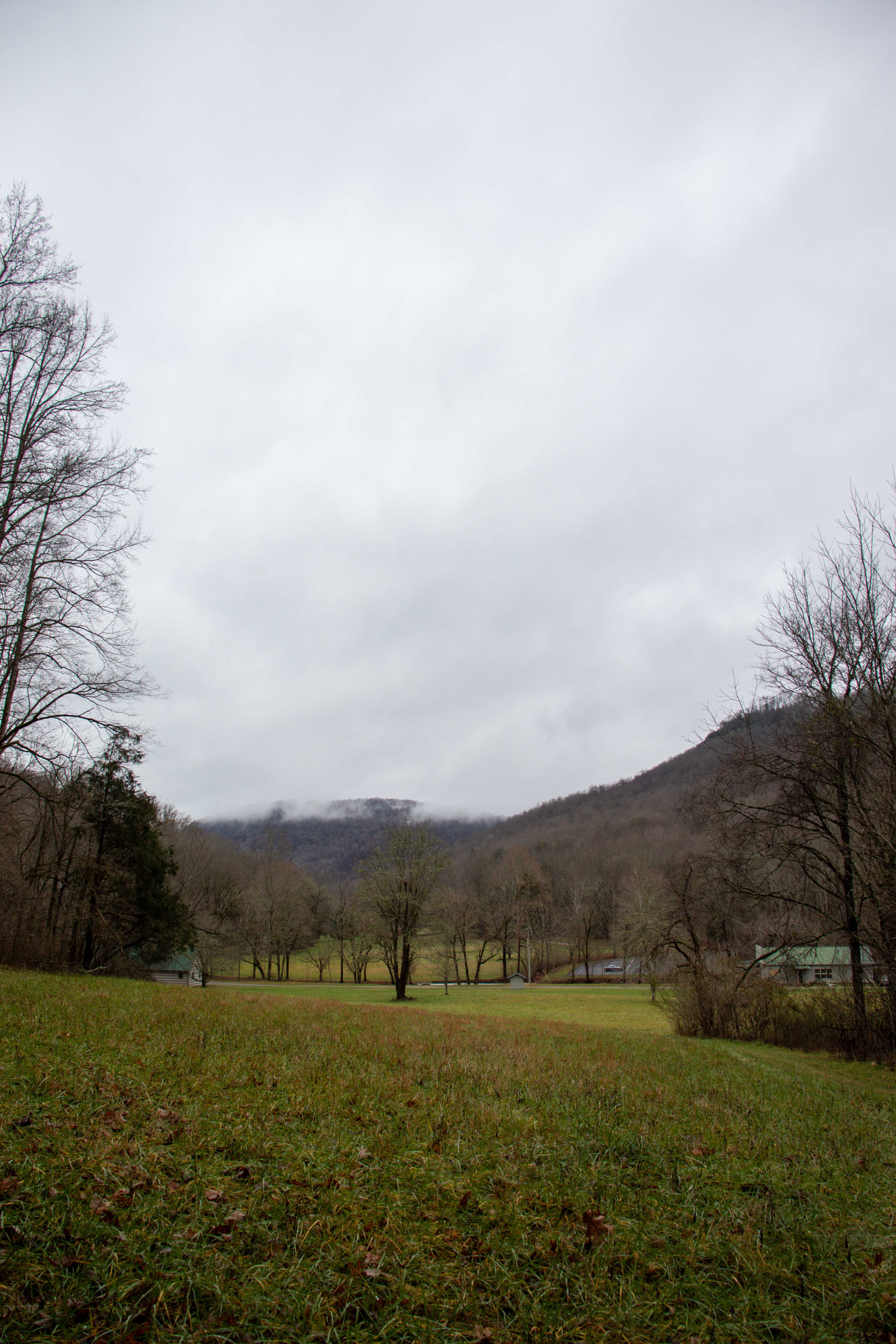 view from Falcon Warrior Trail of a sprawling lush field near the Head of Sequatchie