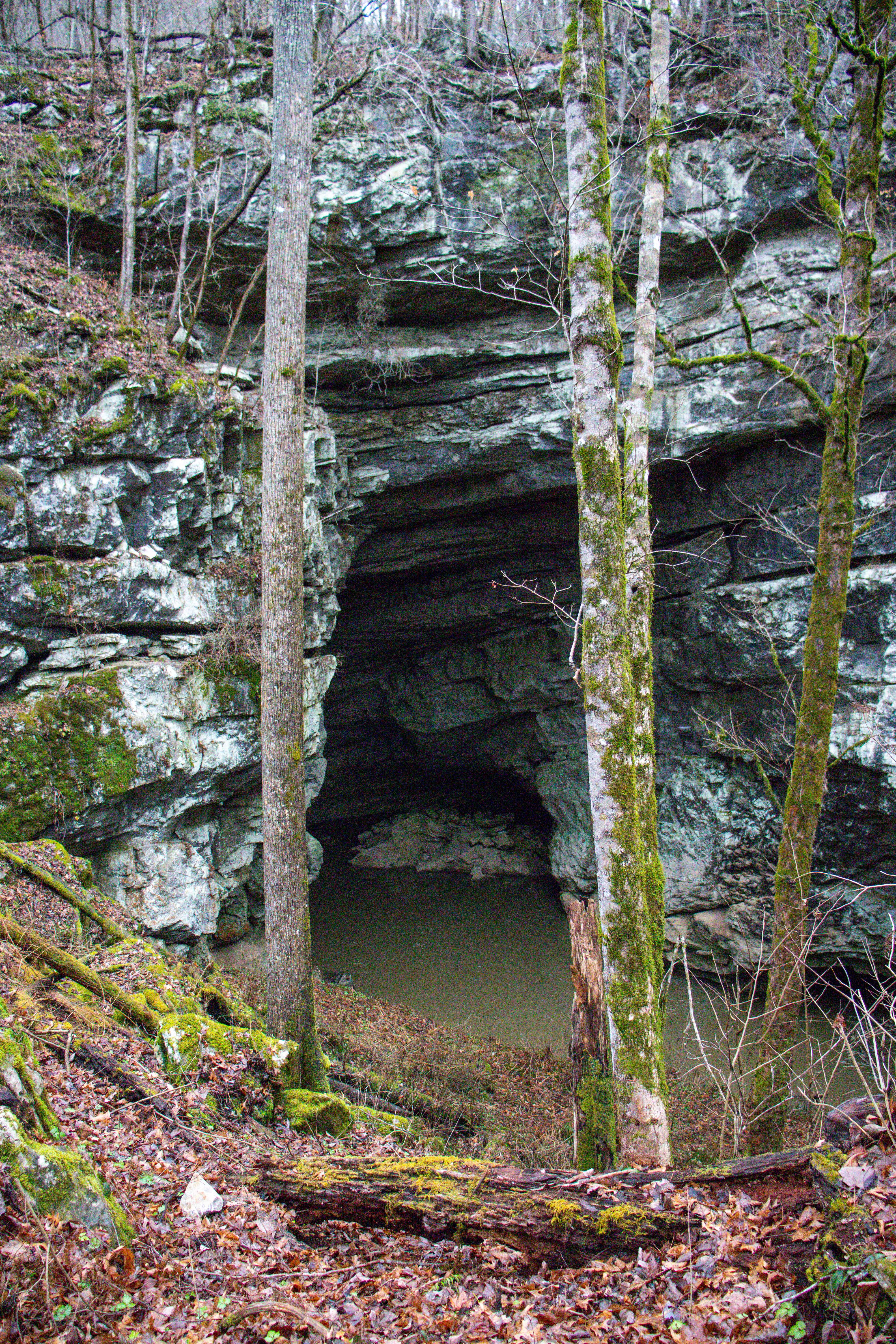 view of Devilstep Hollow Cave from the bluff above