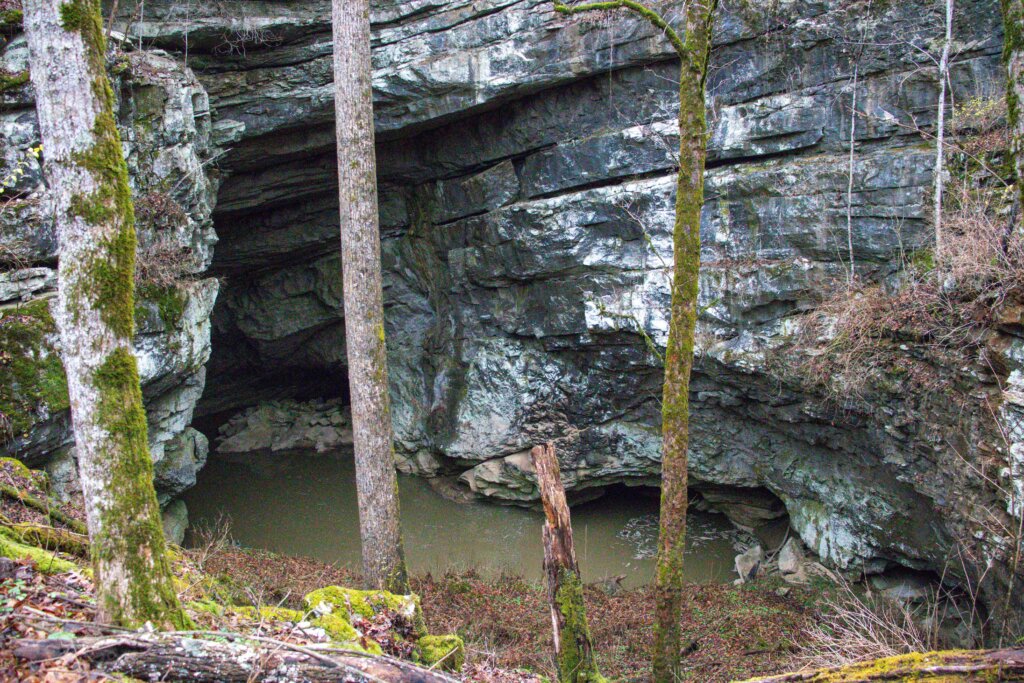 Devilstep Hollow Cave from the bluff