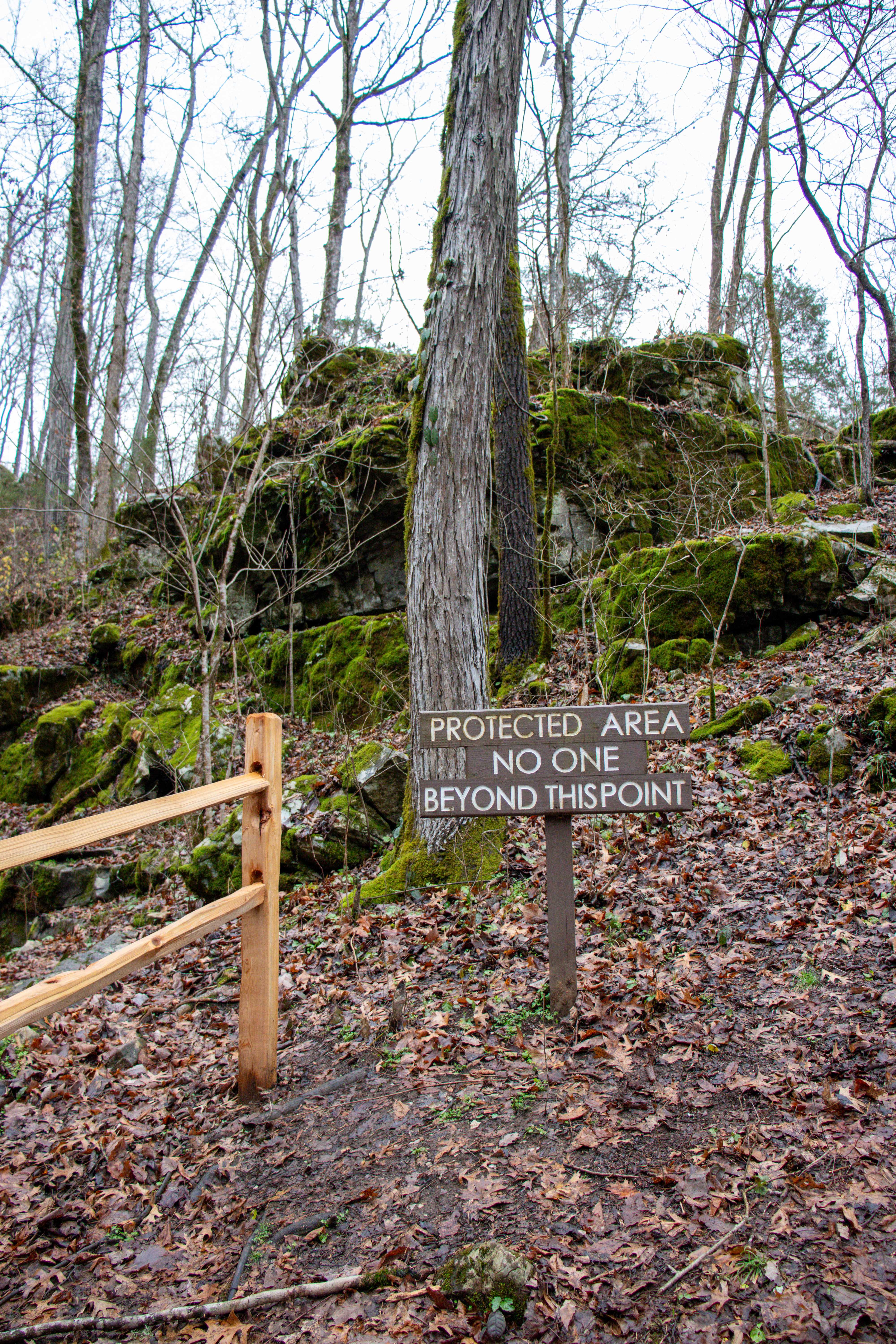 sign at Devilstep Hollow Cave that reads "protected area, no one beyond this point"