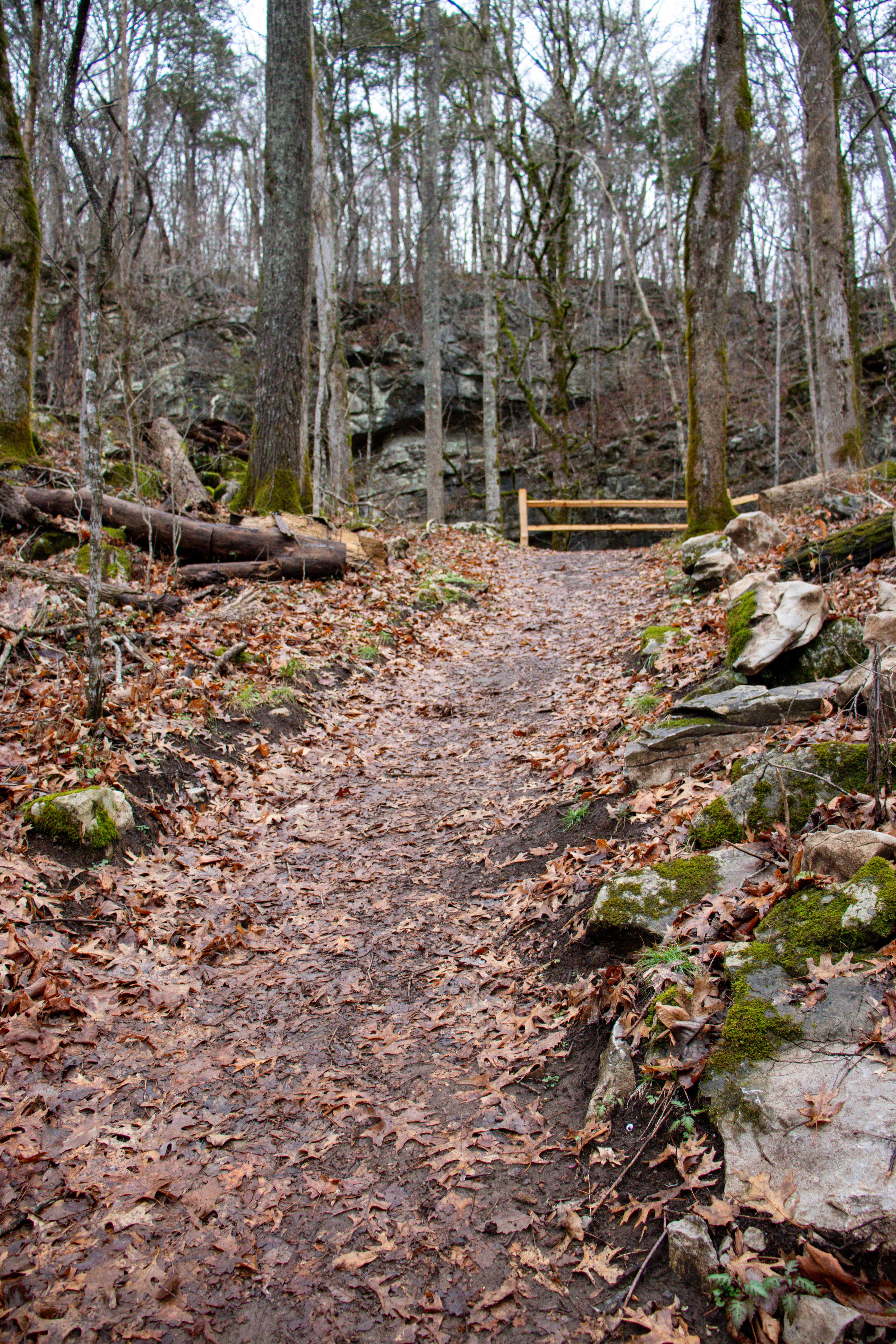 spur trail leading up to bluff that overlooks Devilstep Hollow Cave