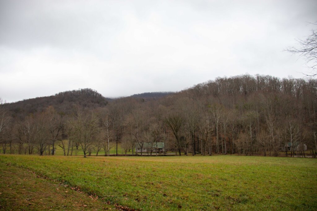 view of a lush field along the trail at Head of Sequatchie