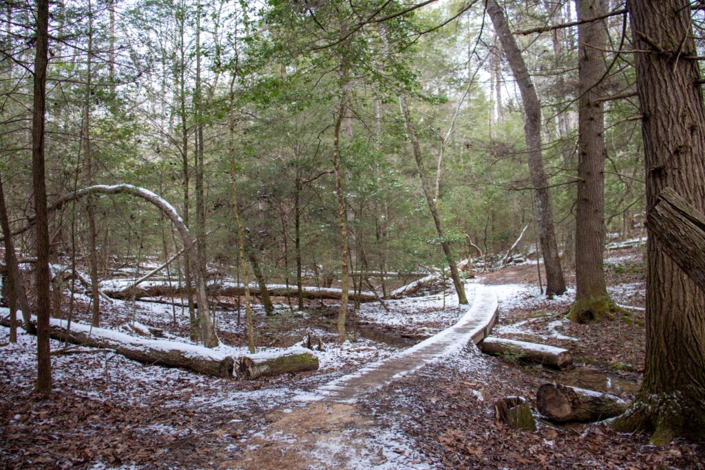 snowy trail on hike to savage falls